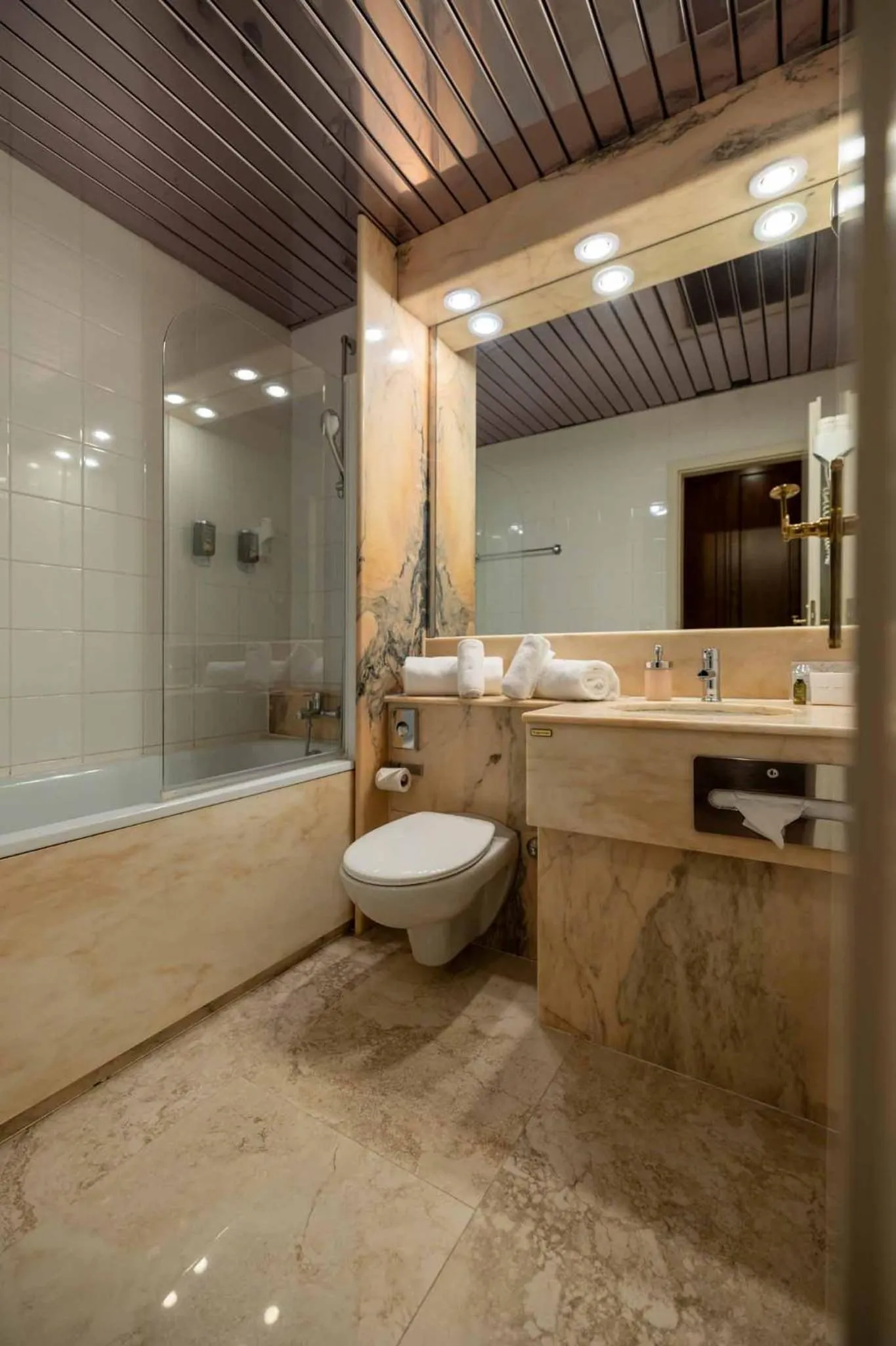 Toilet in Hotel Regina