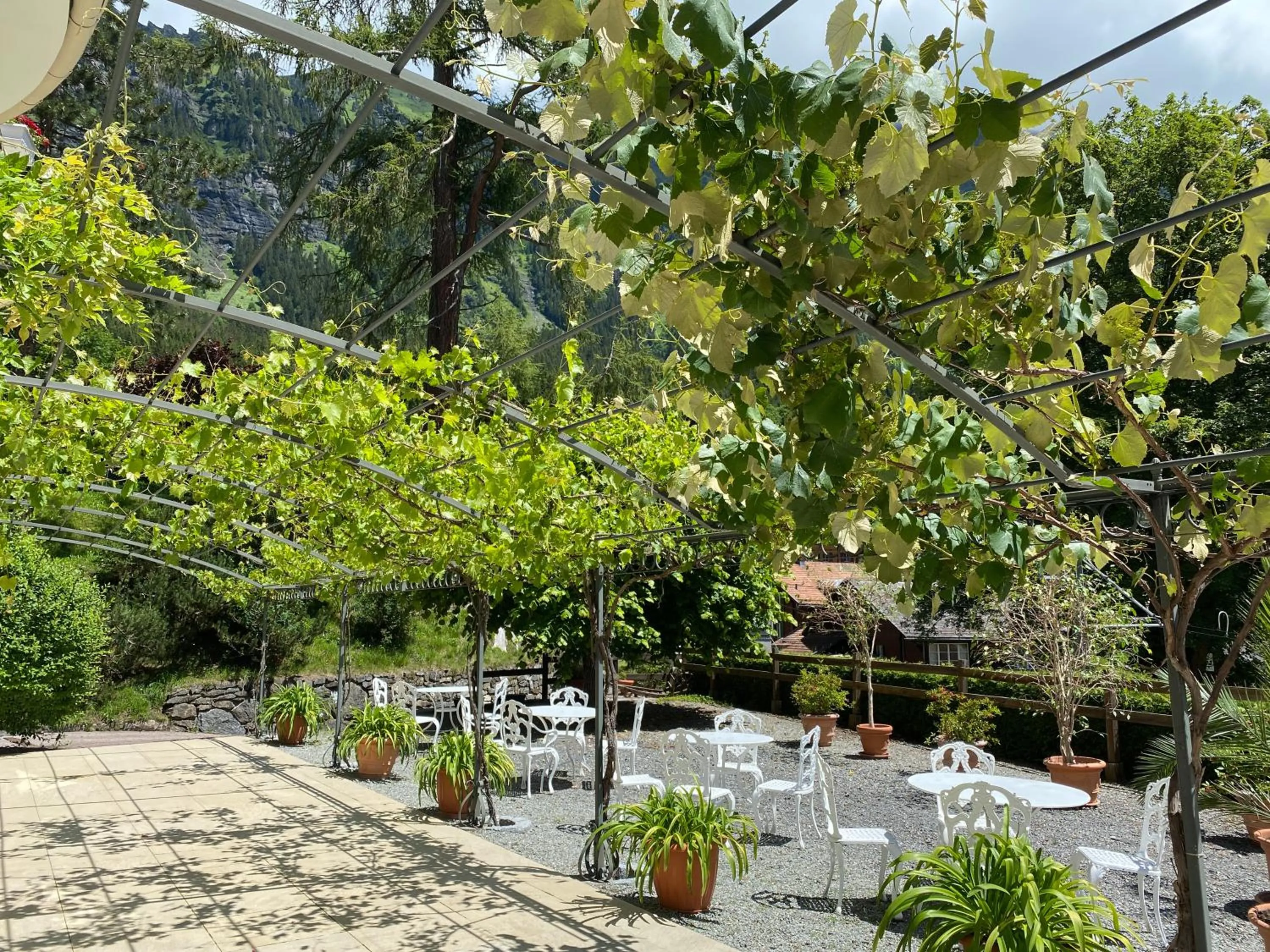 Patio in Hotel Regina