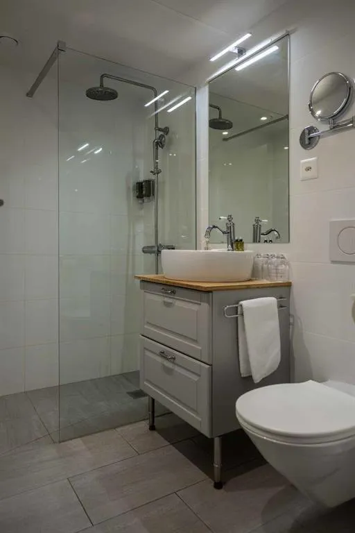 Shower in Hotel Regina