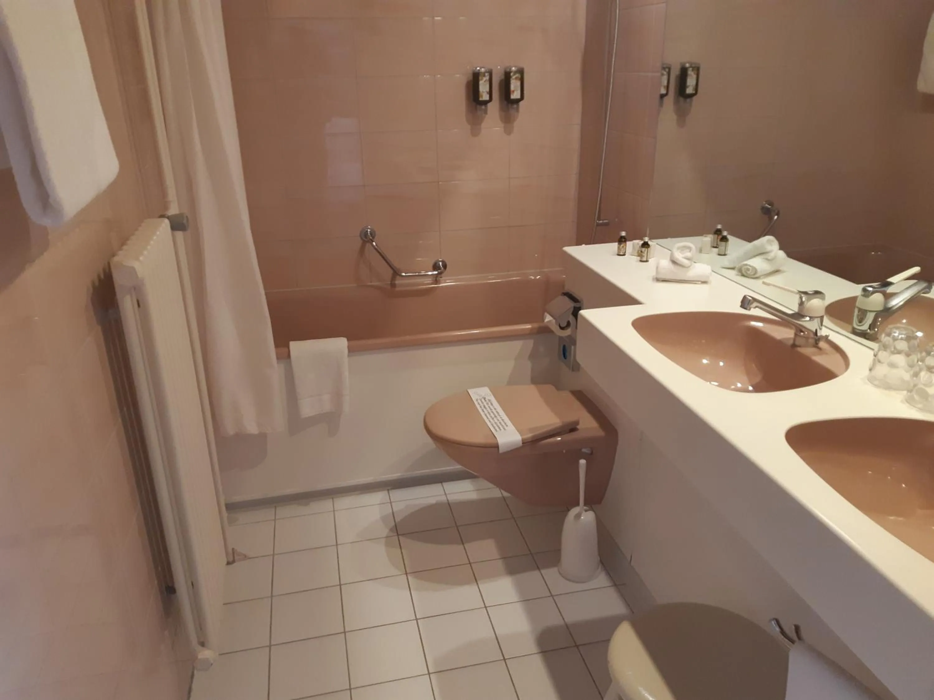 Toilet in Hotel Regina