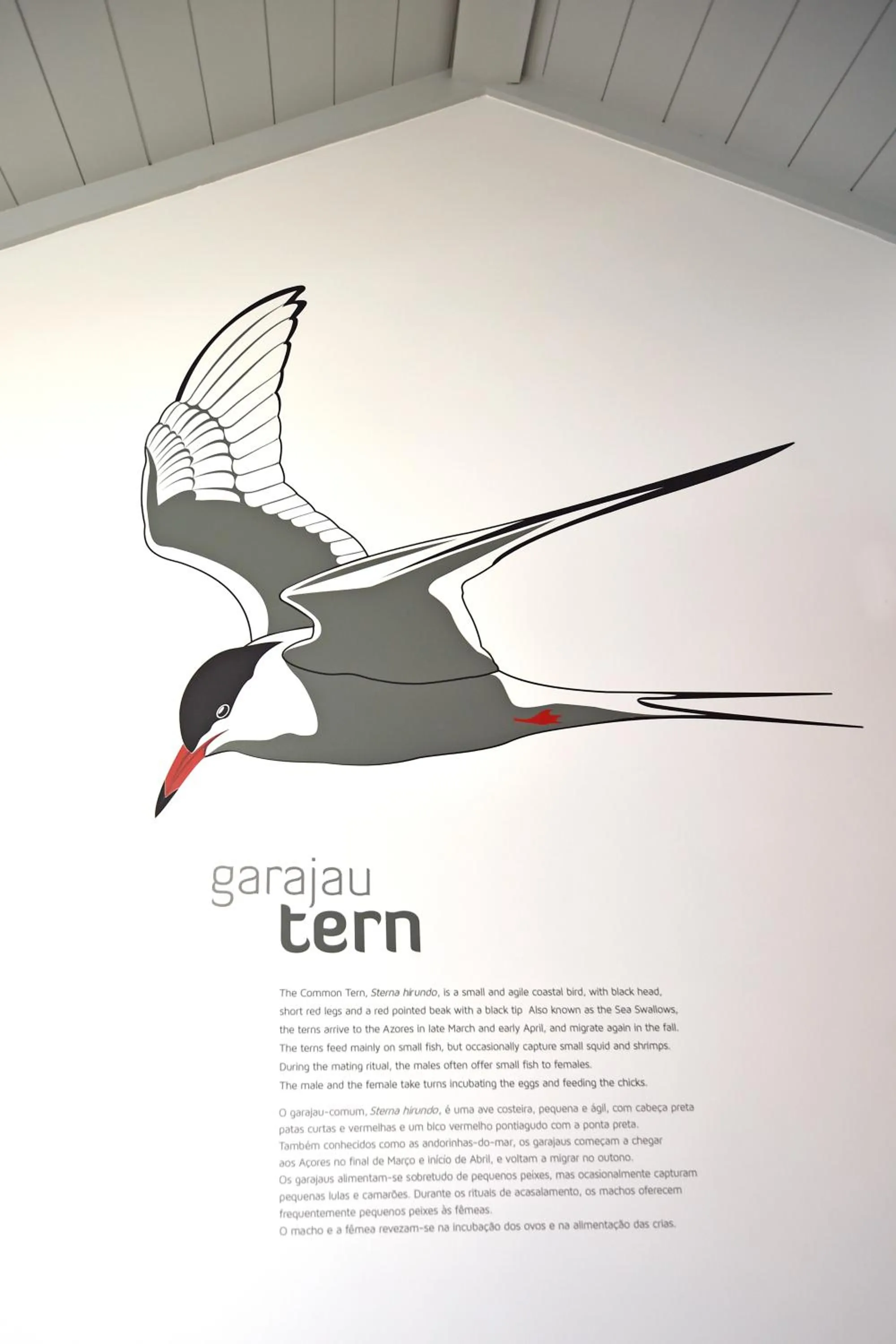 Decorative detail in Casa da Baía - Guest House