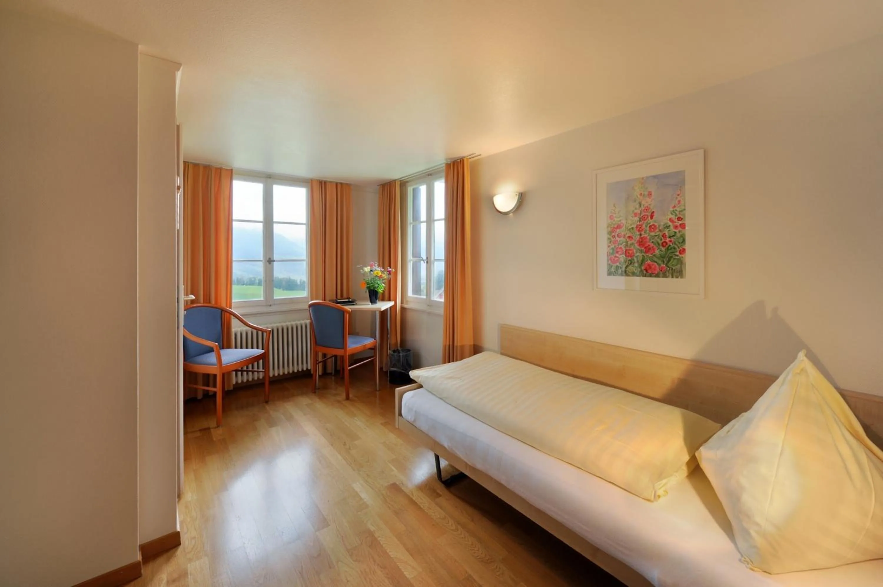Single Room - single occupancy in Gasthaus Paxmontana
