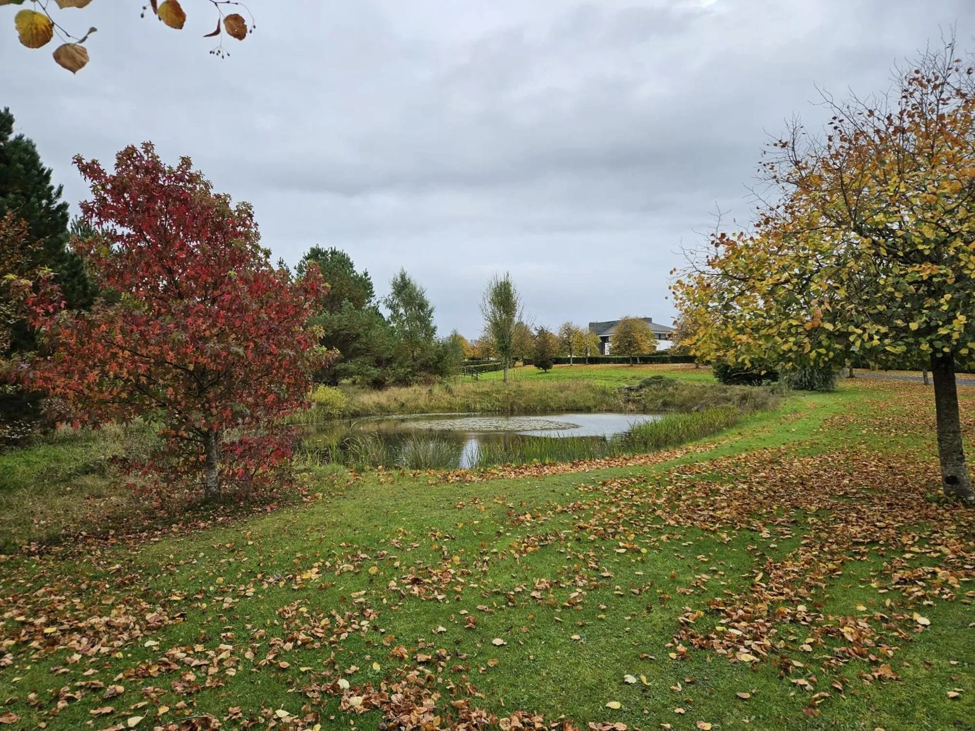 Garden in Hazelwood Country House