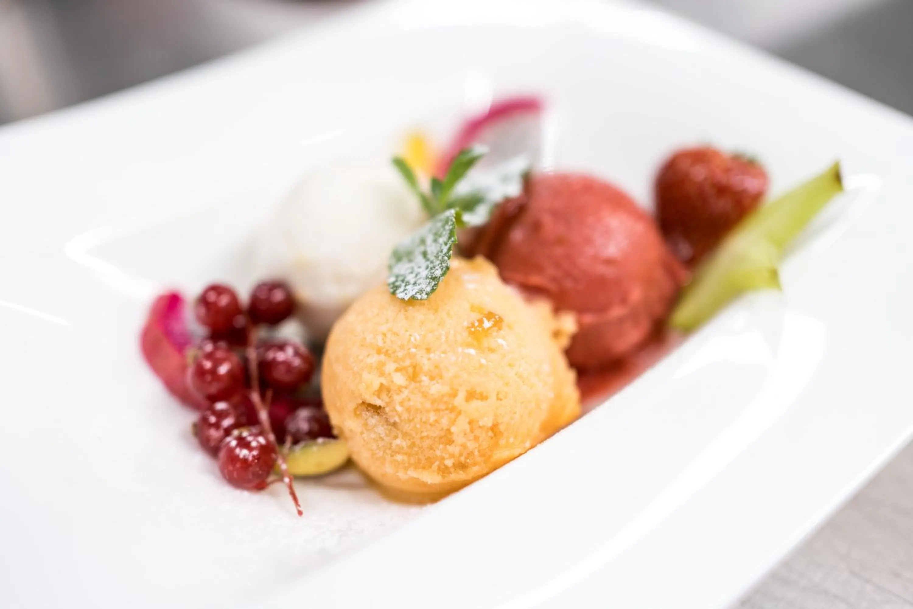 Restaurant/places to eat in Hotel Butterfly