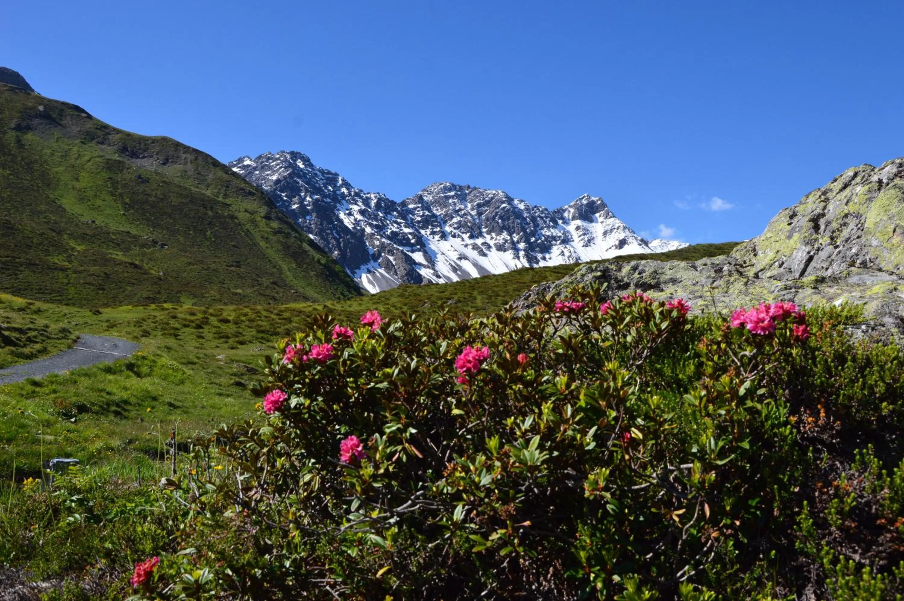 Natural landscape in Hotel Hohe Promenade