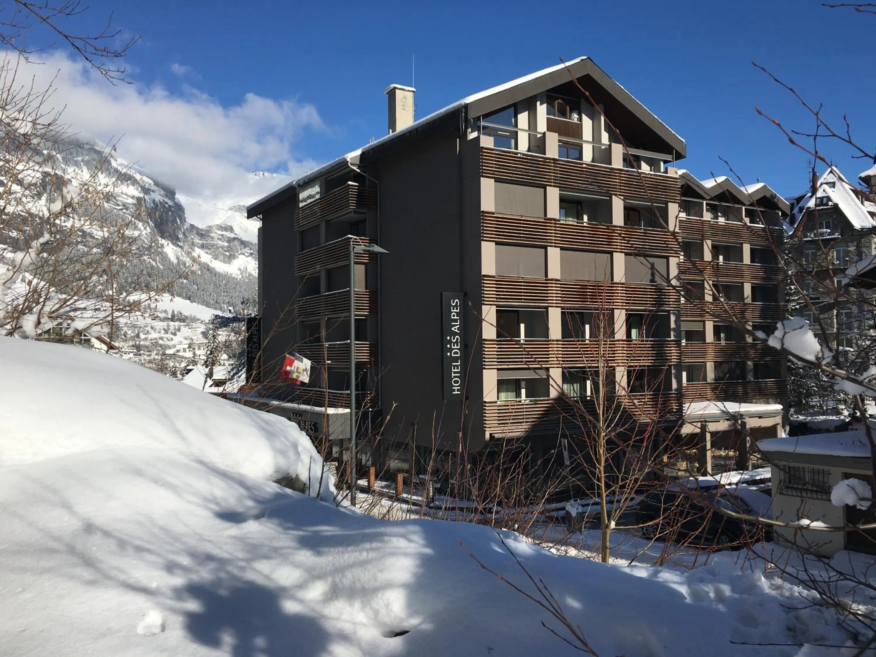 Property building in Hotel des Alpes
