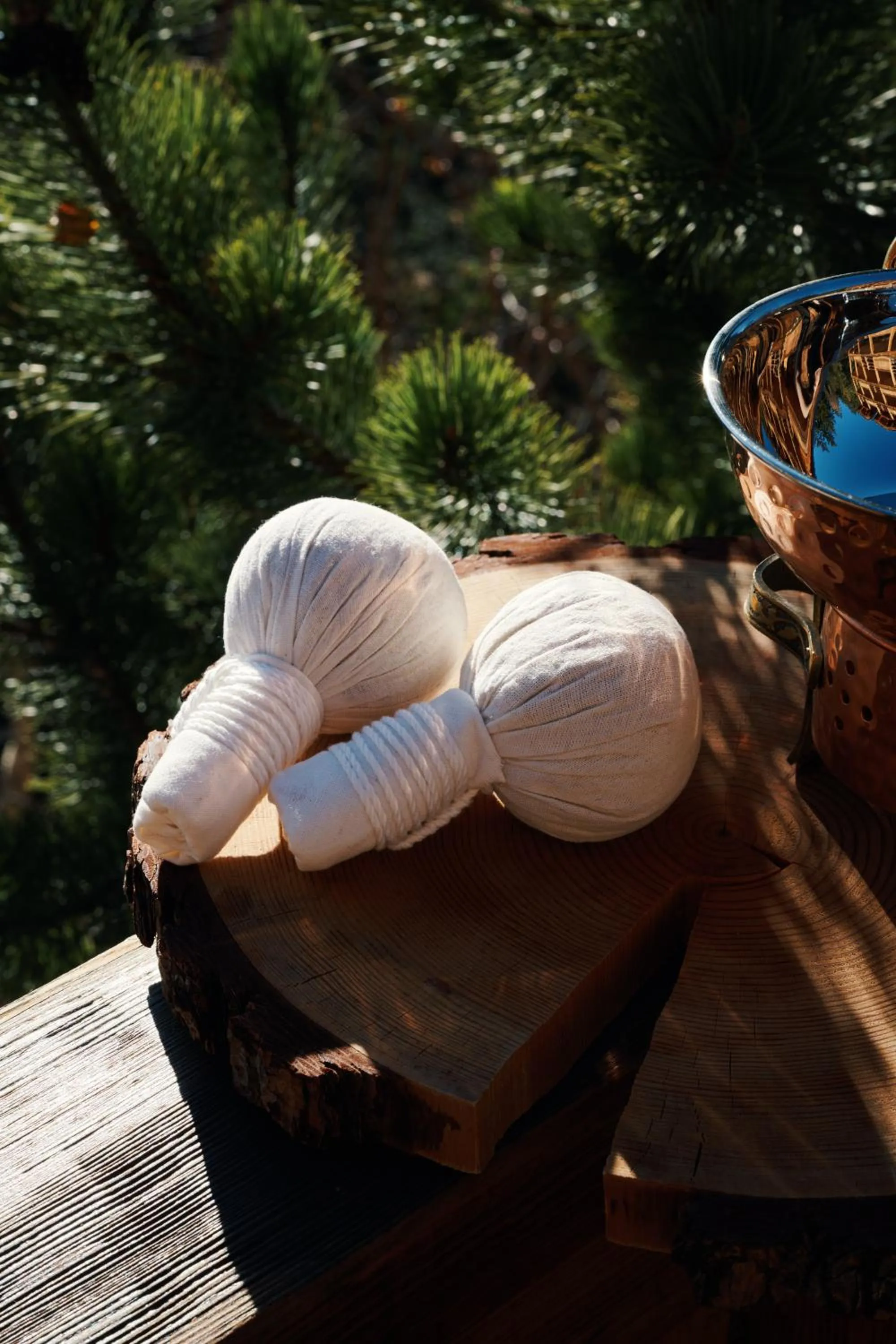 Spa and wellness centre/facilities in LeCrans