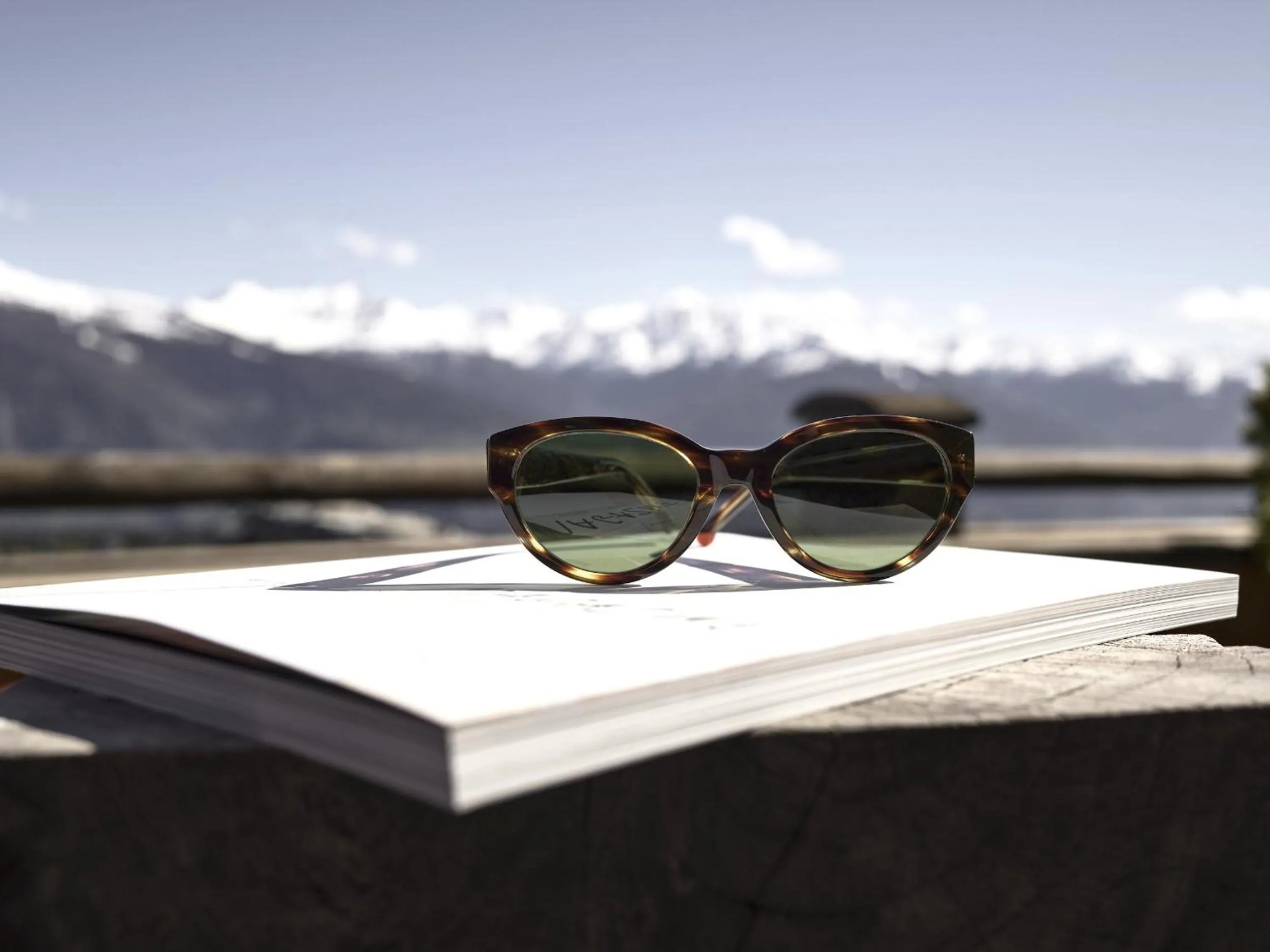 View (from property/room) in LeCrans