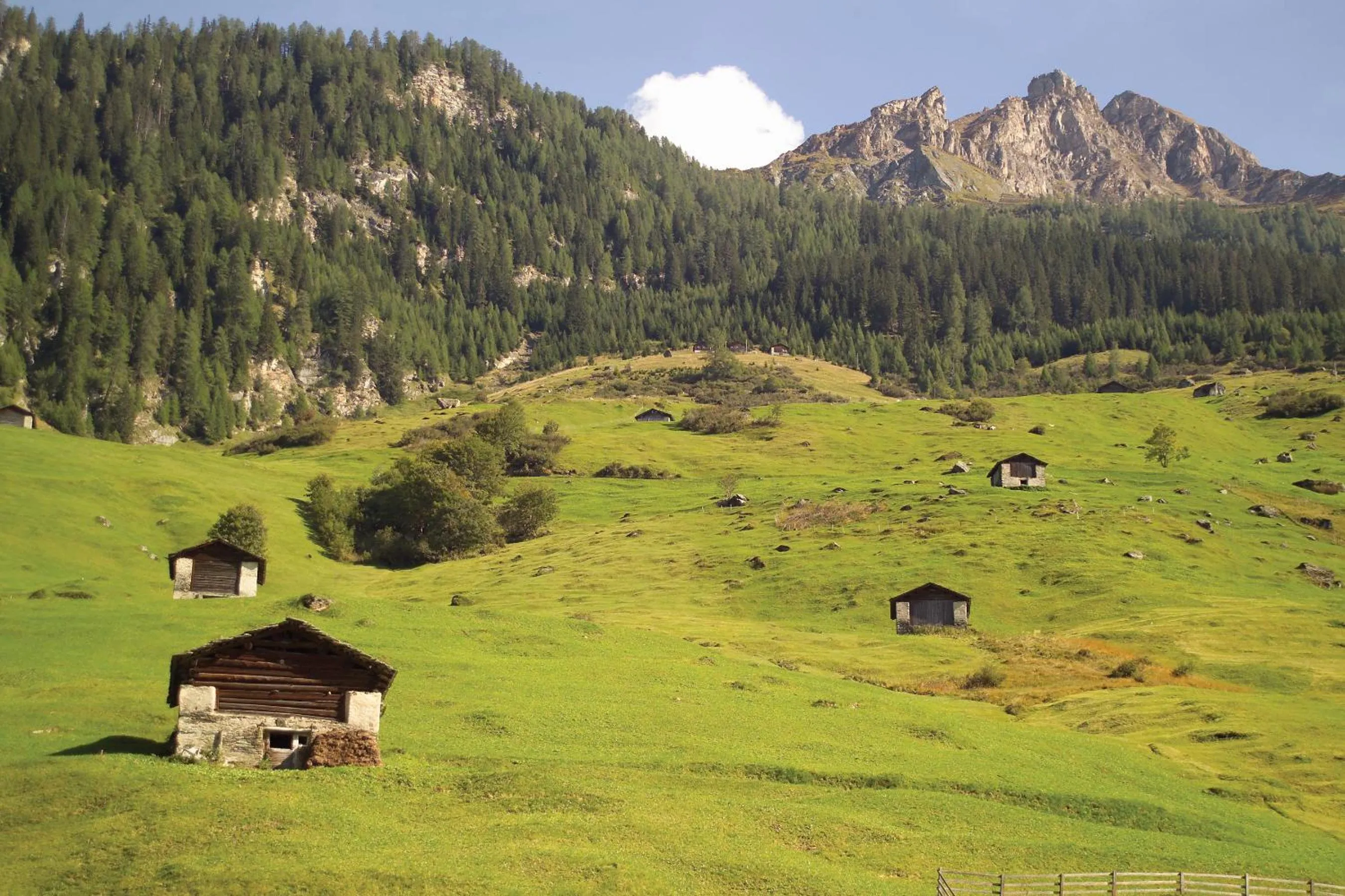 Natural landscape in Hotel Rovanada Wellness & BergNatur