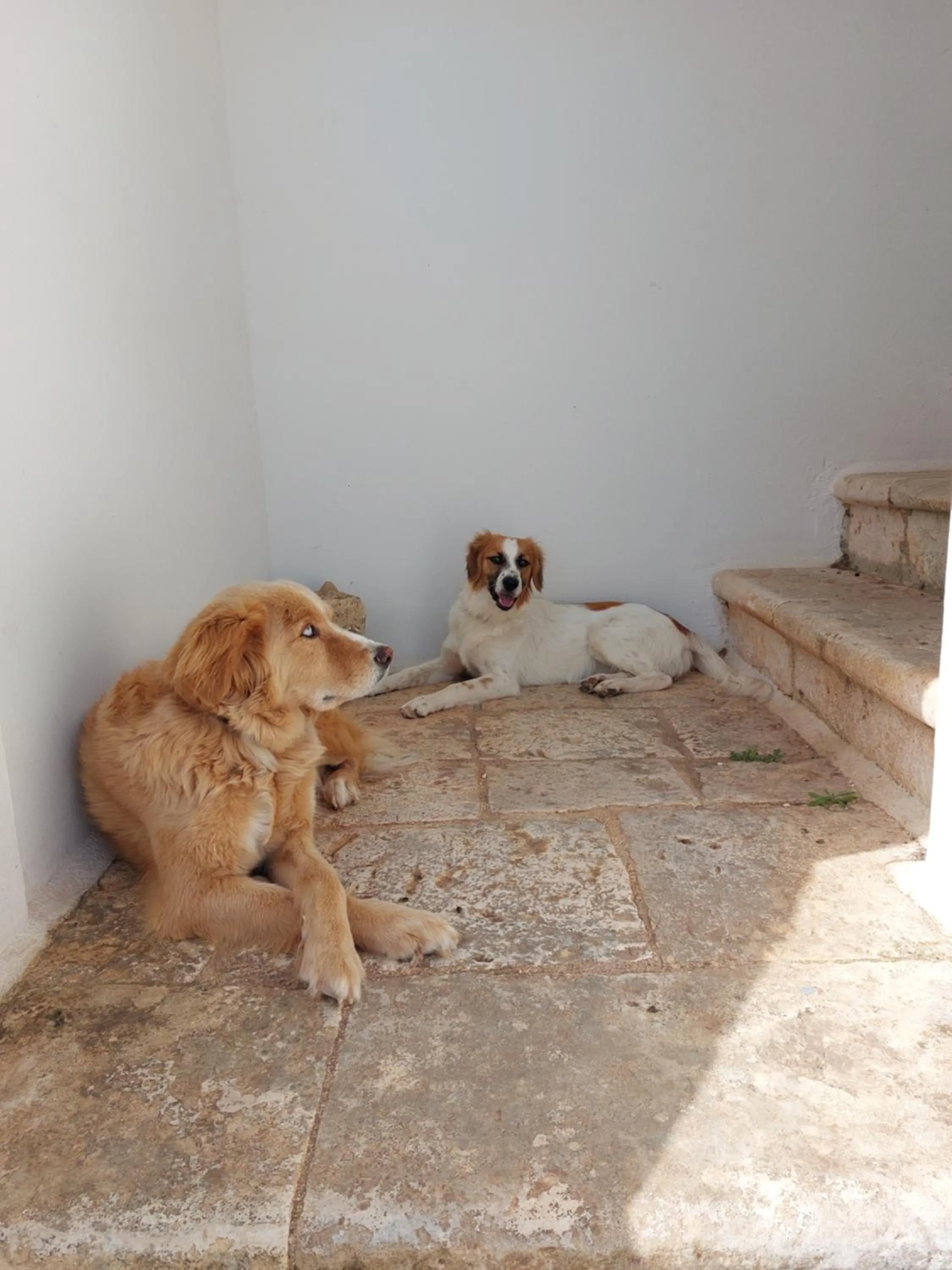 Masseria San Martino