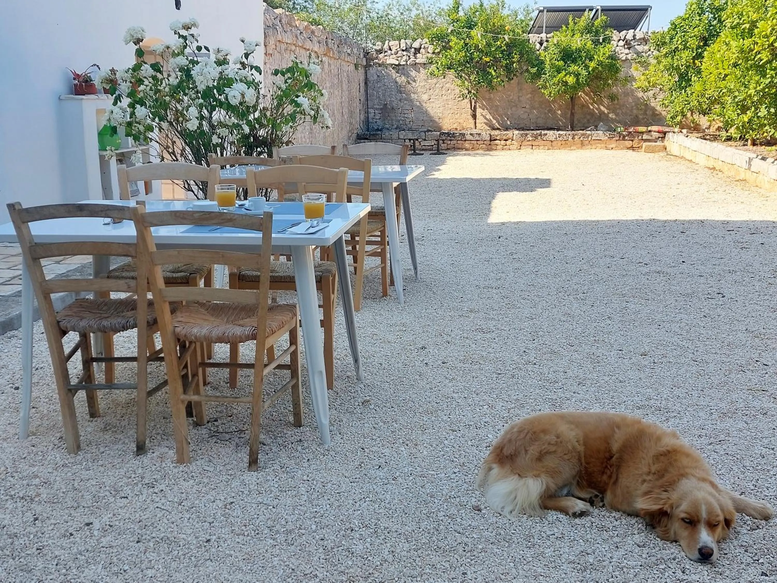 Masseria San Martino