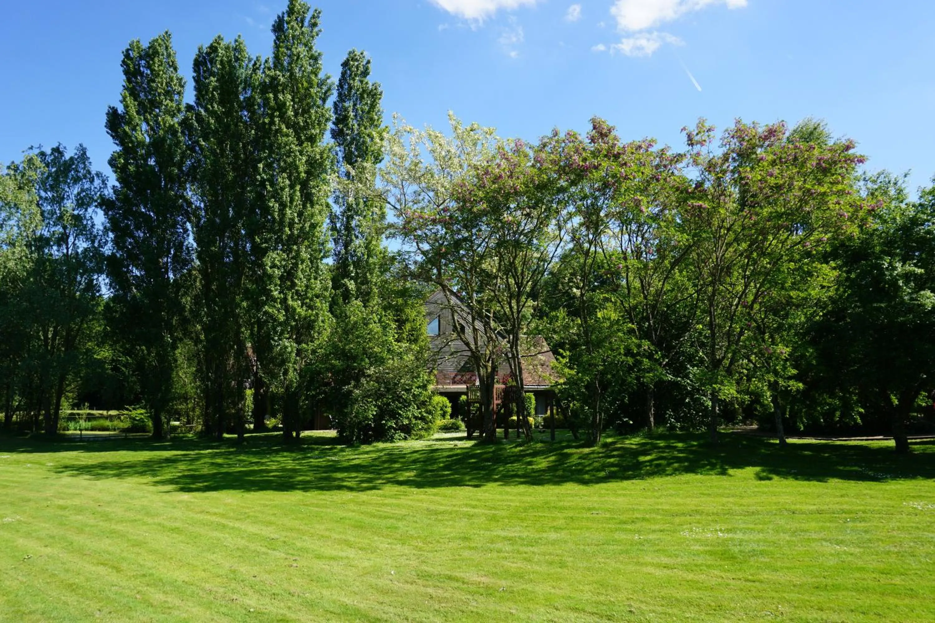 Garden in Domaine de L'Arbrelle