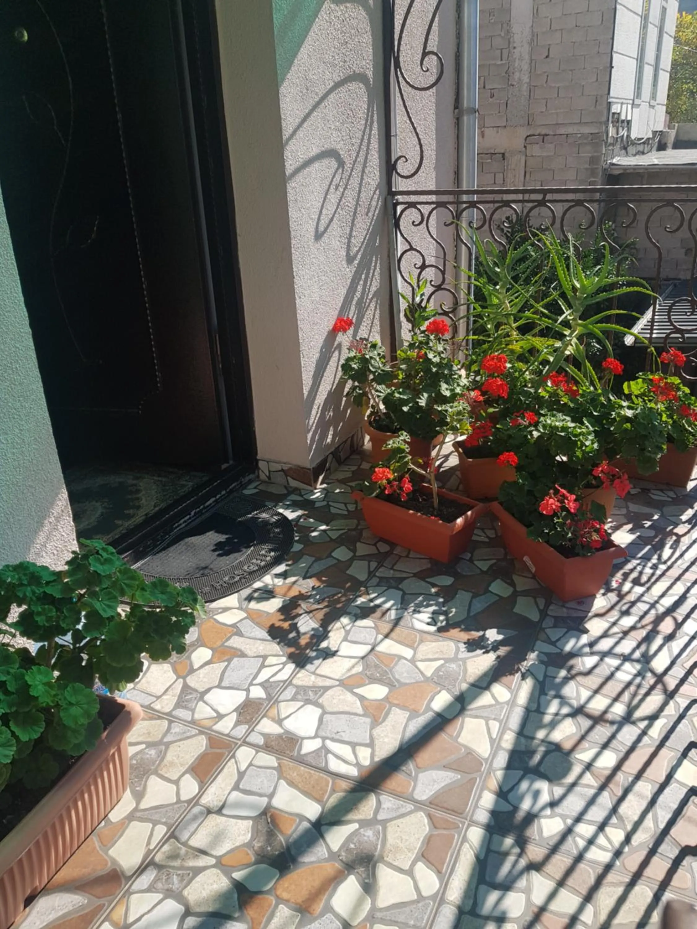 Patio in Hotel Mariana