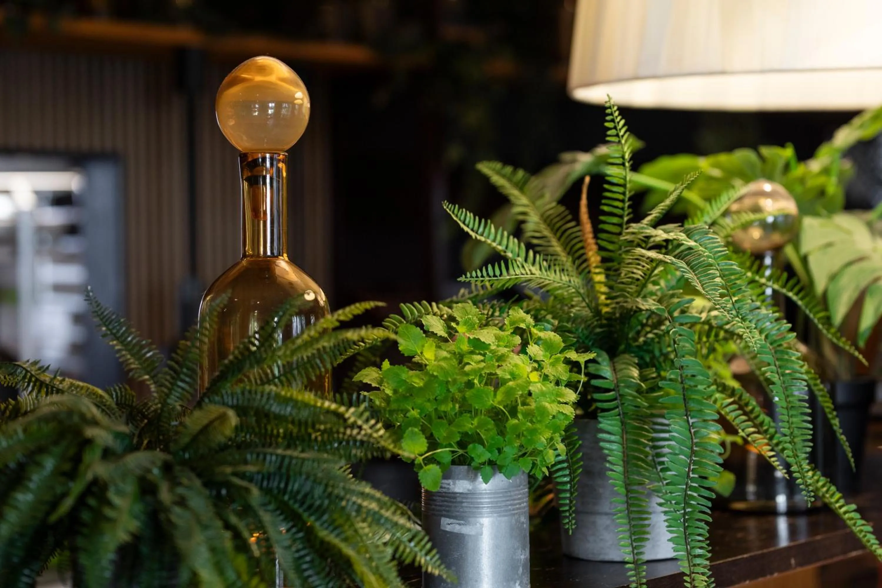 Breakfast in Home Hotel Tapto