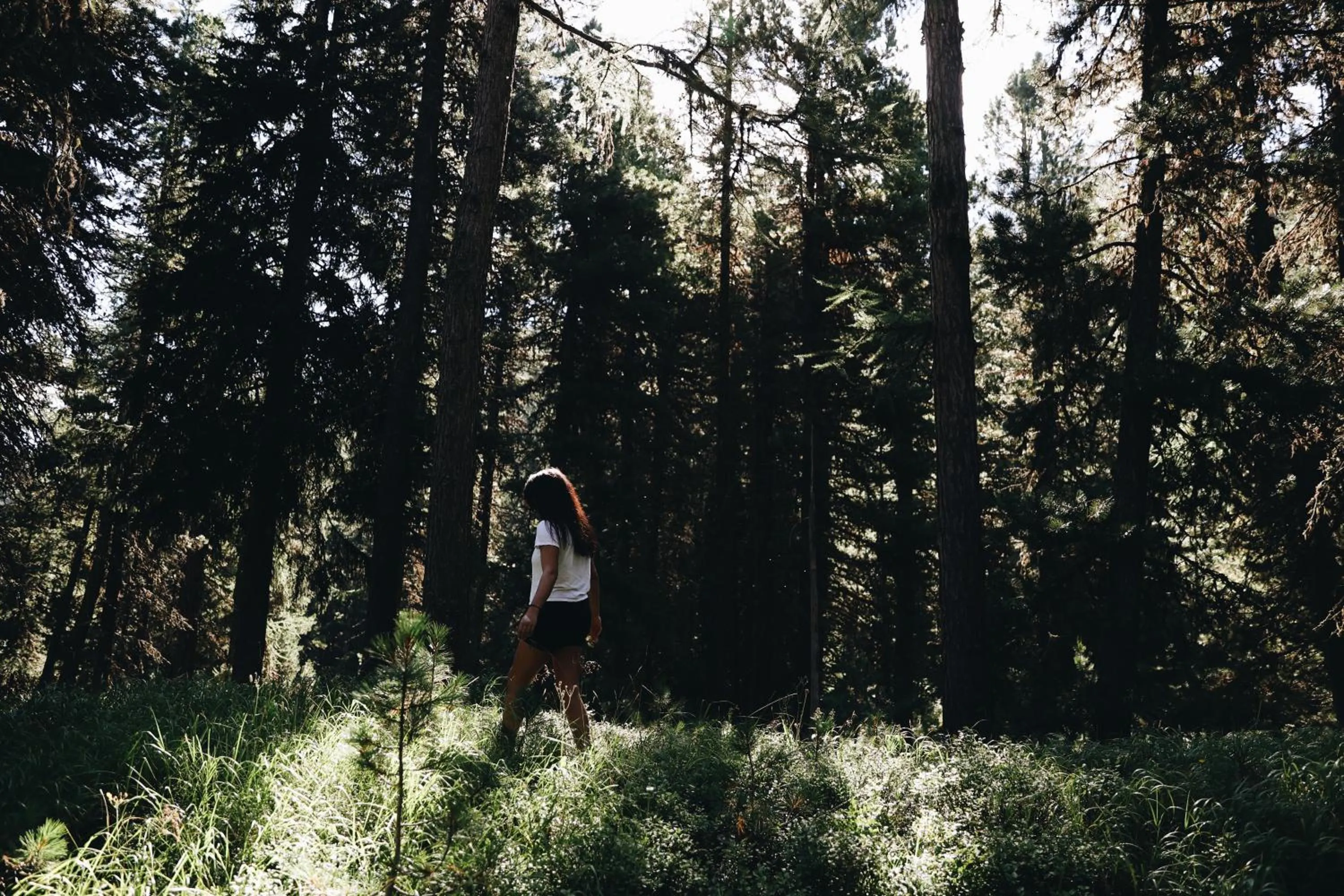 Hiking in Hotel Schweizerhof St. Moritz