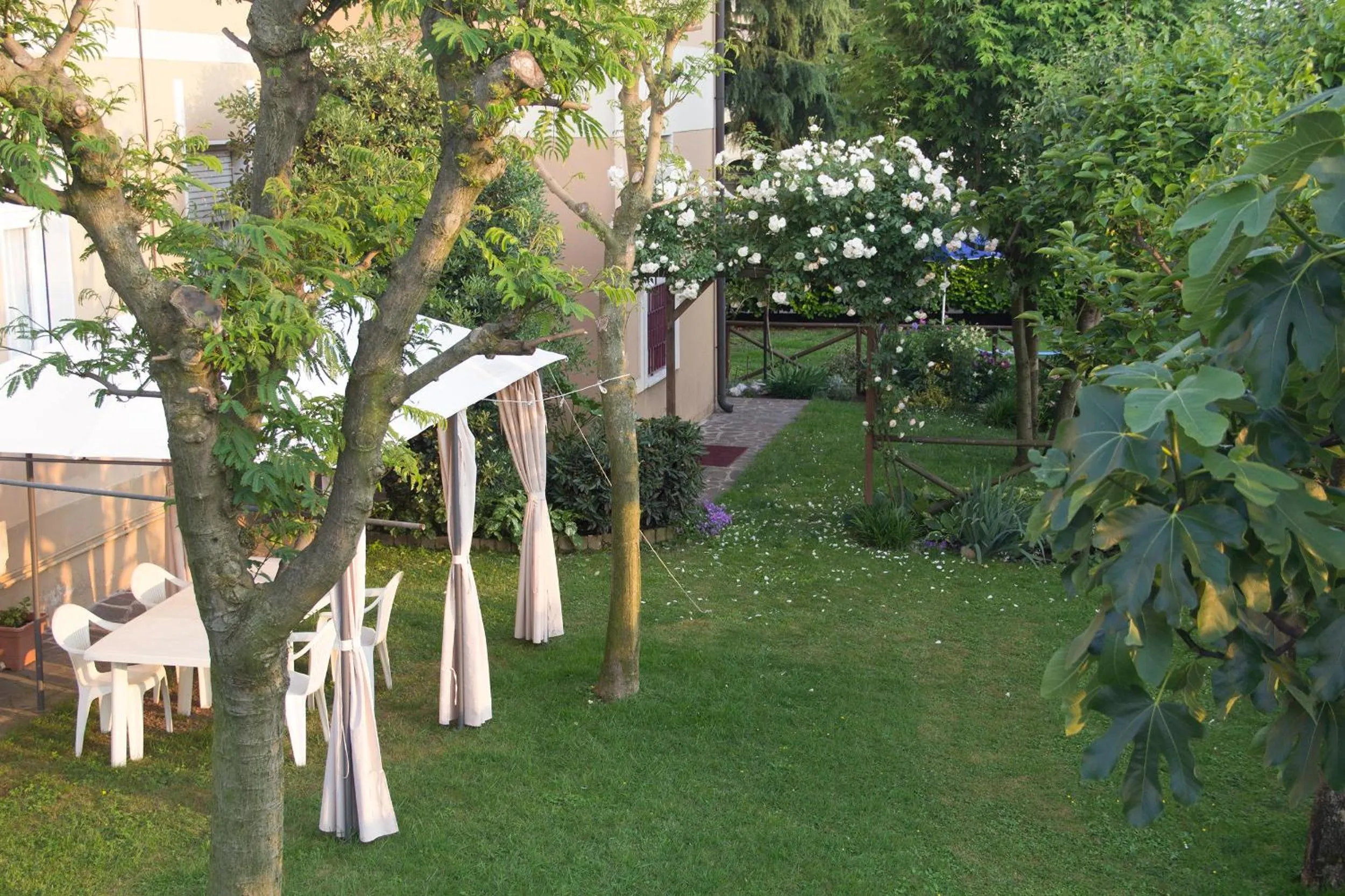 Garden in Il Giardino