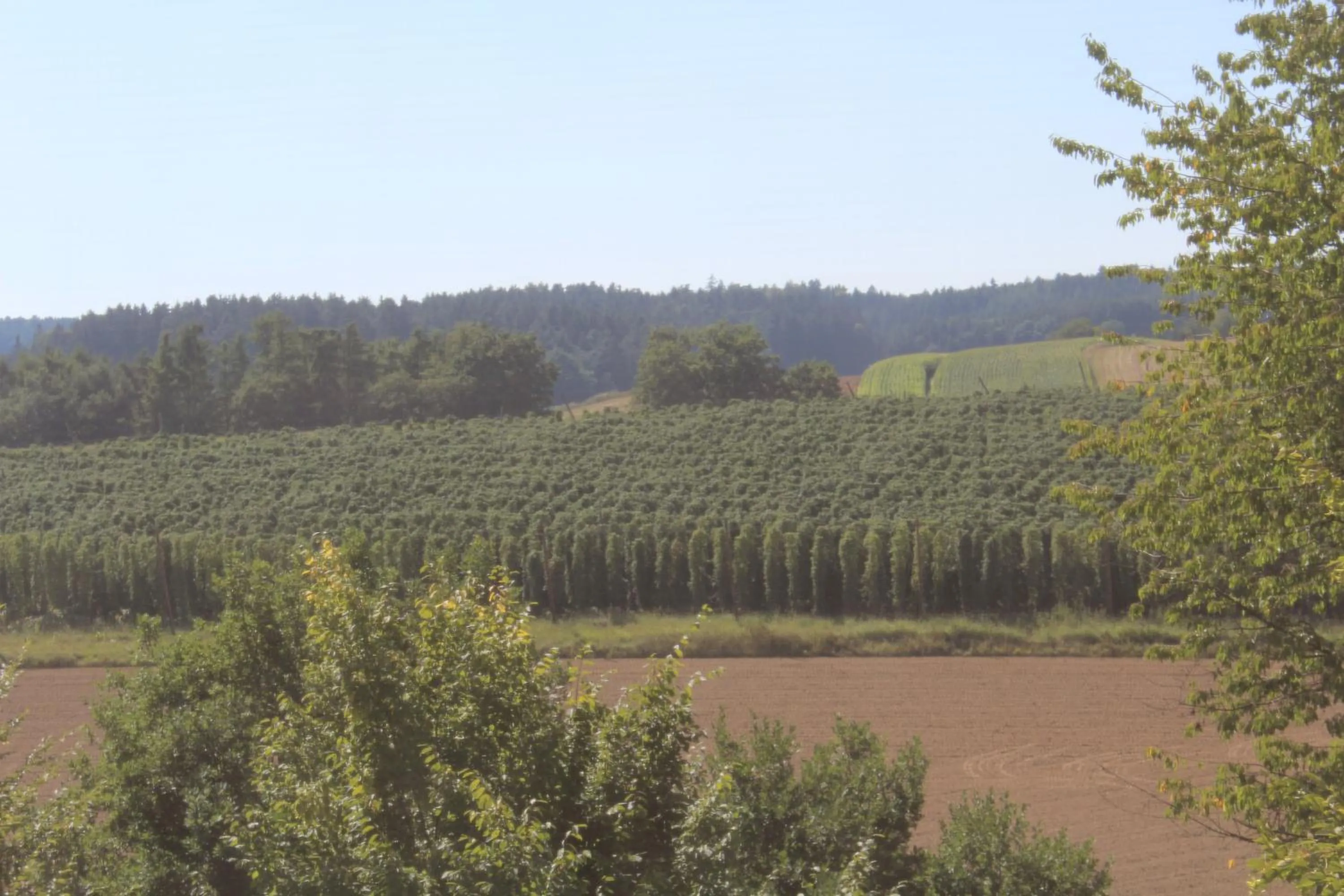 Day in Hotel Holledau