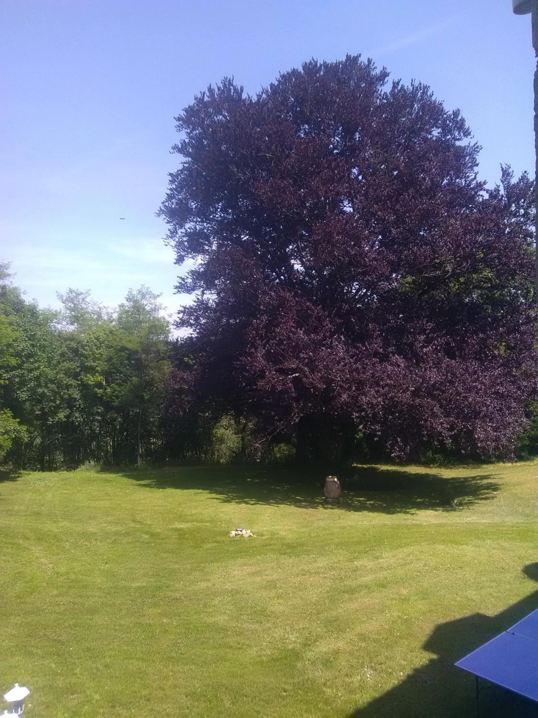 Garden view in Pierre Deluen Domaine de la Grange de Quaire