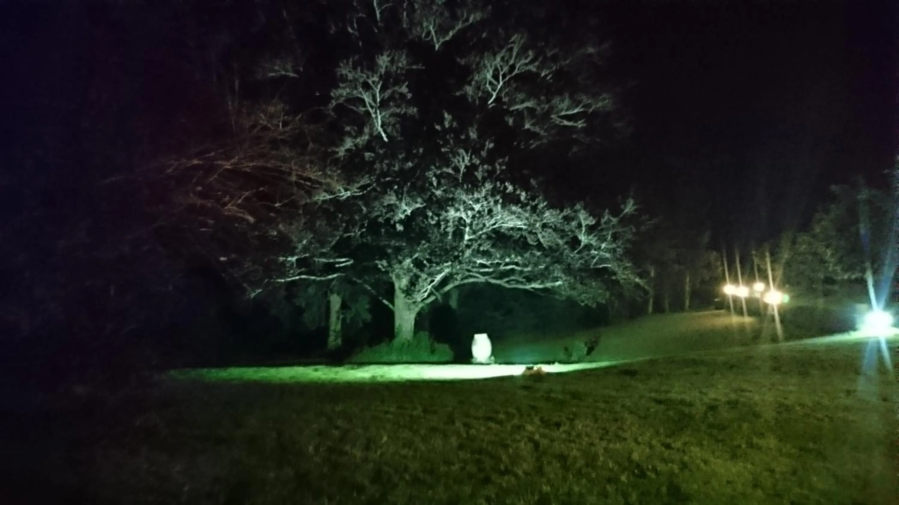 Garden in Pierre Deluen Domaine de la Grange de Quaire