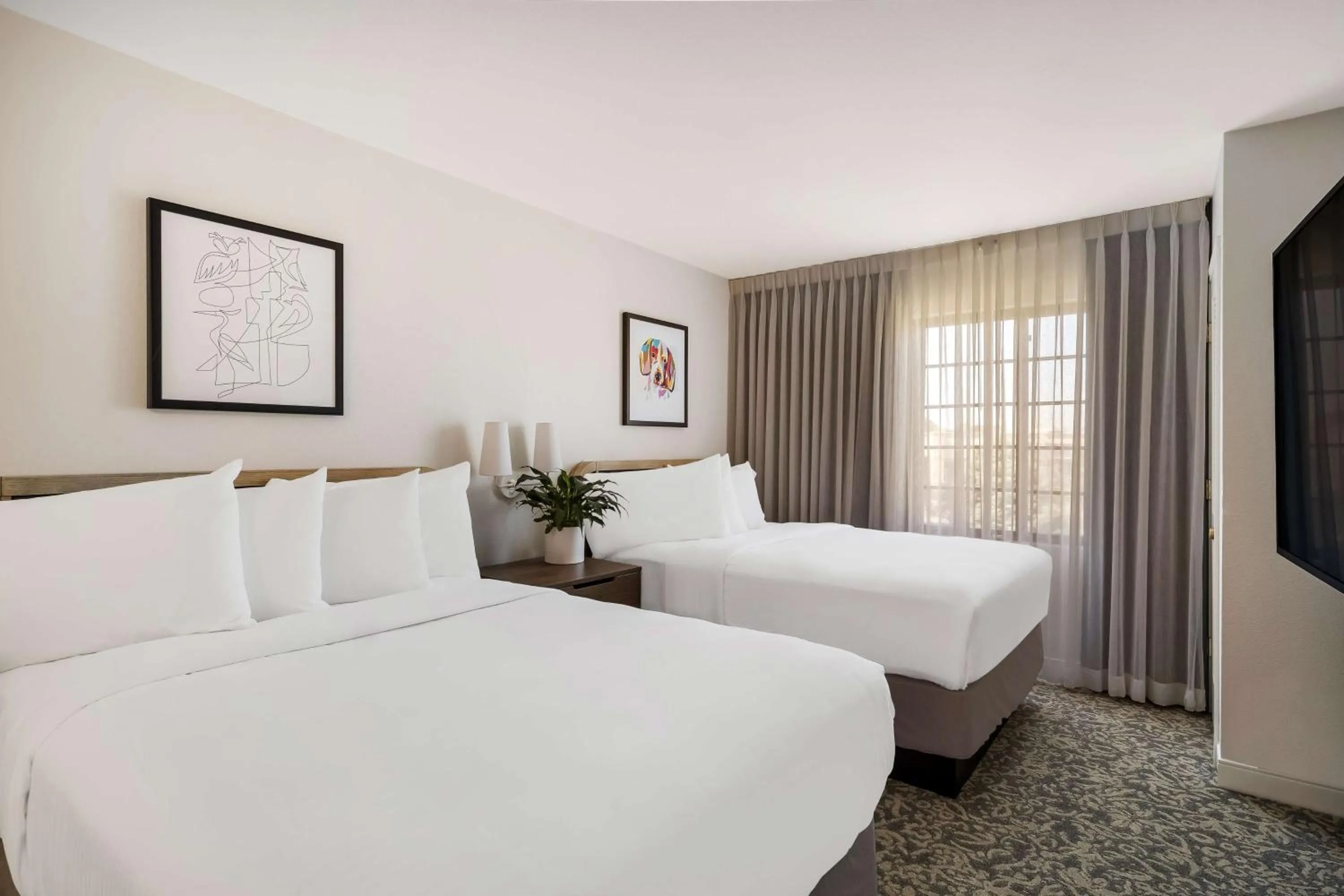 Photo of the whole room, Bed in Sonesta ES Suites San Diego - Sorrento Mesa