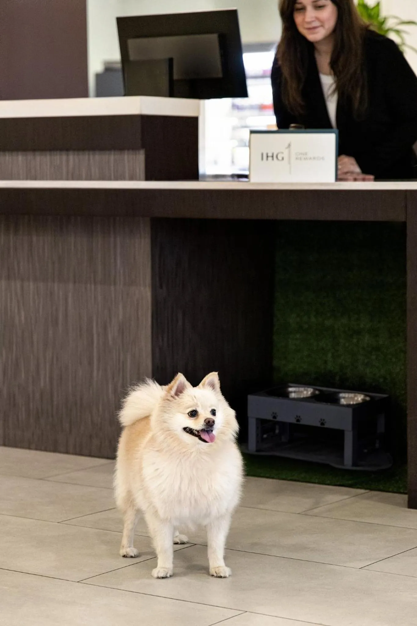 Lobby or reception in Crowne Plaza Orlando - Lake Buena Vista by IHG