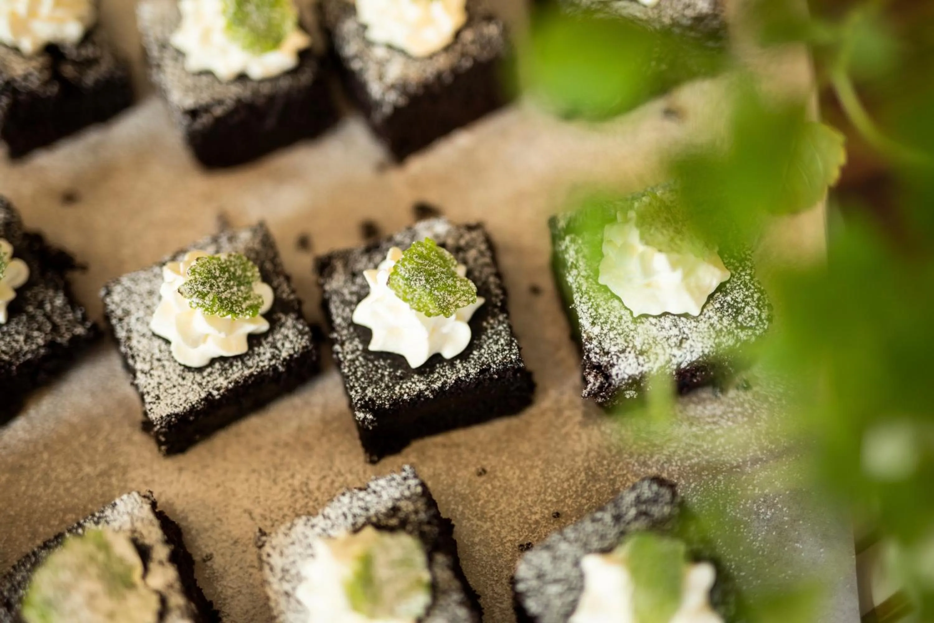 Food close-up in Home Hotel Bolinder Munktell