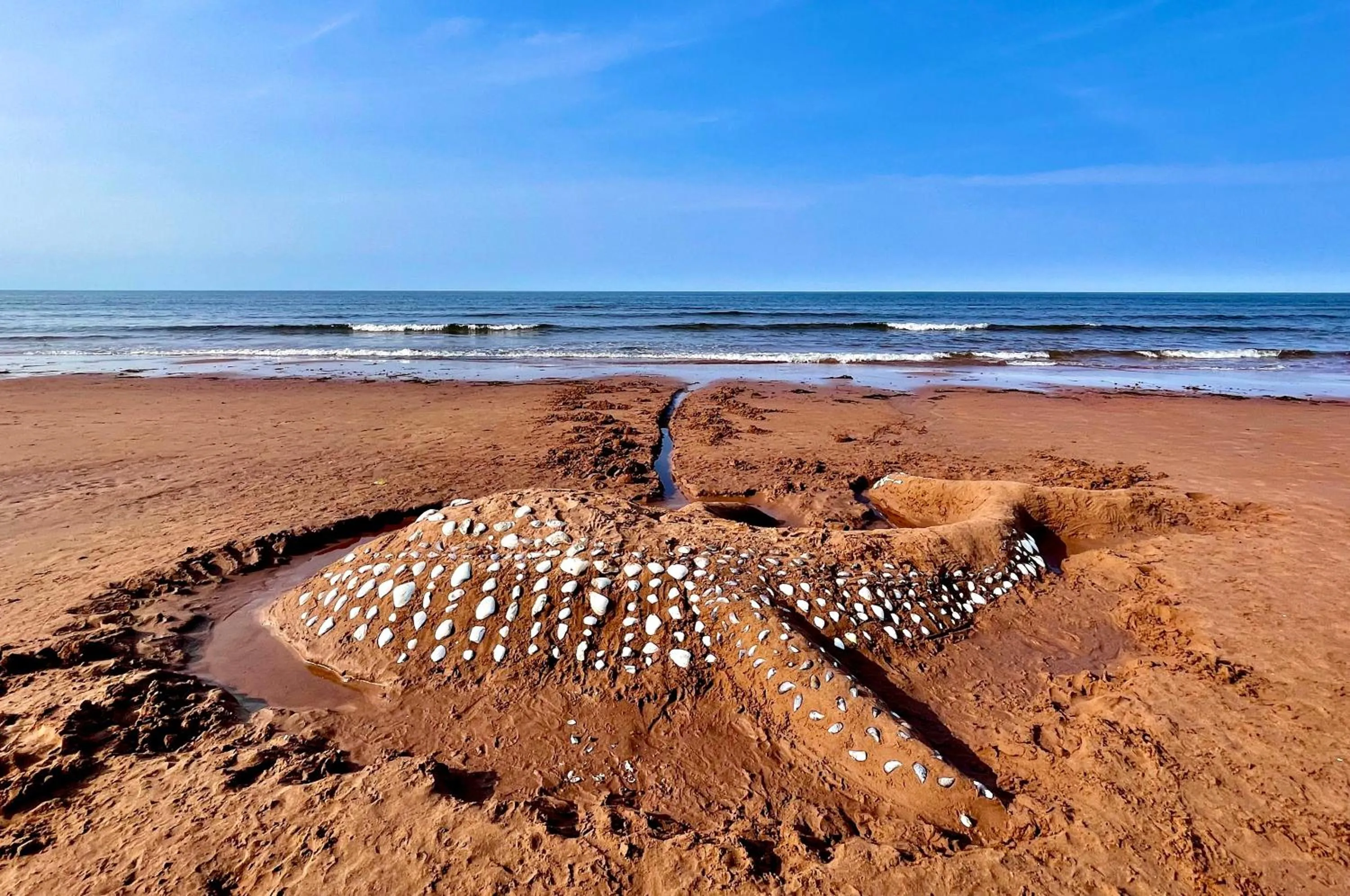 The Loft at Charlotte's Rose