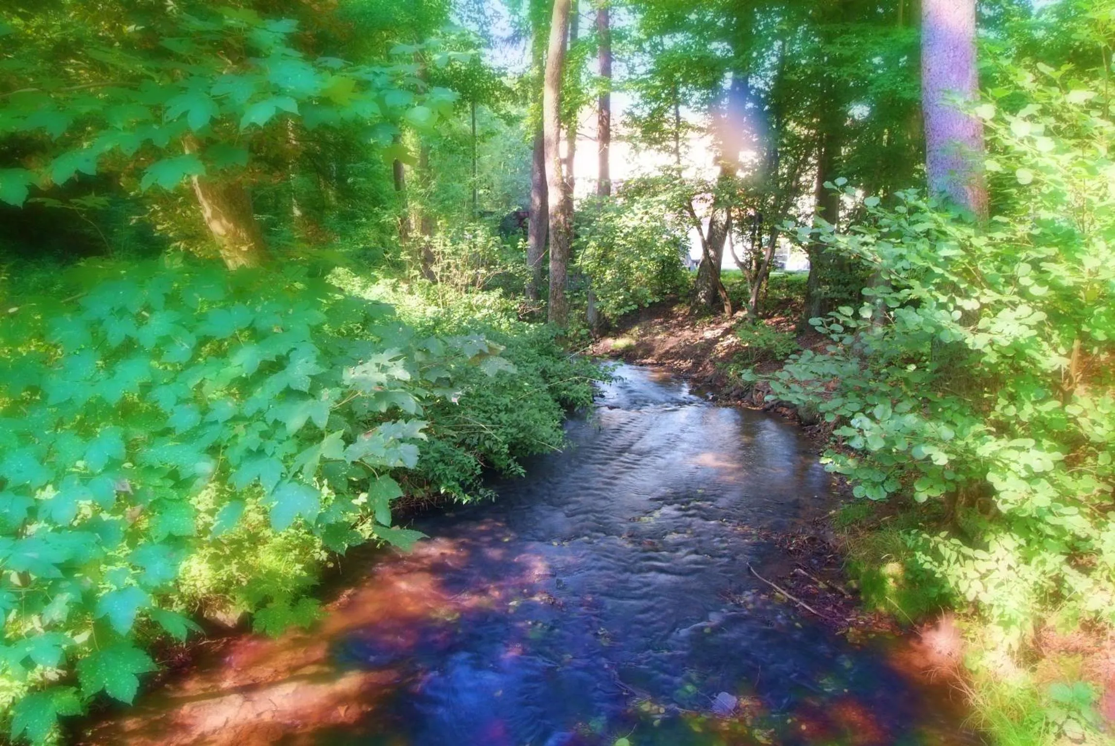 Garden in Kulinarium an der Glems