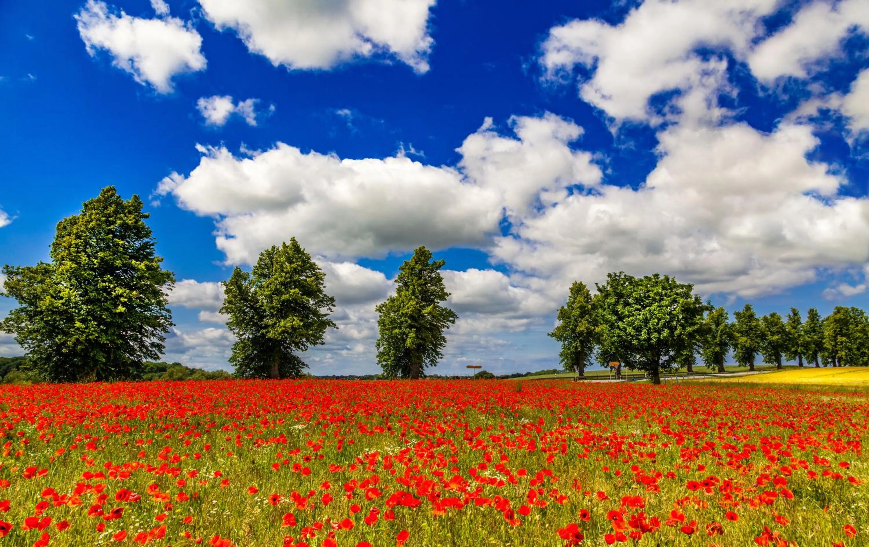 Staff in Hotelanlage Tarnewitzer Hof