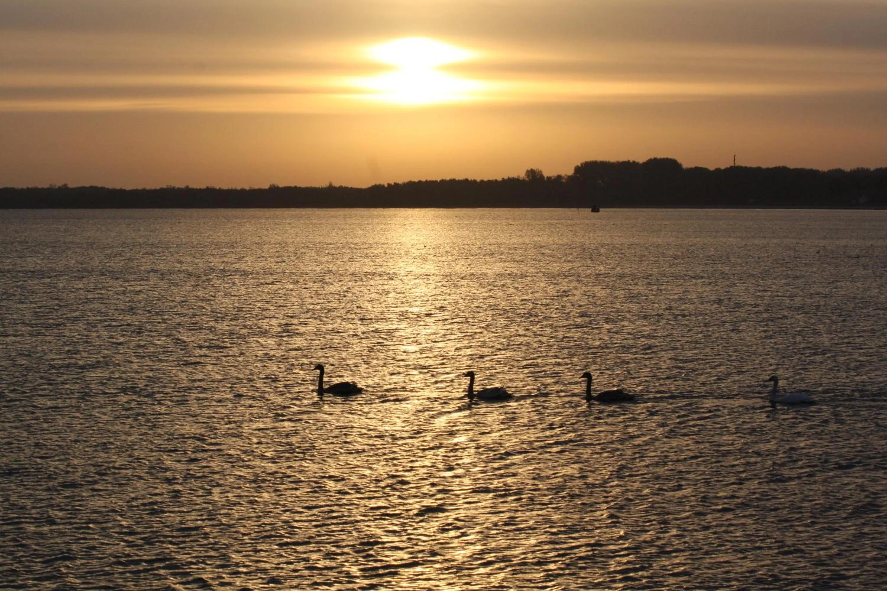 Sea view in Hotelanlage Tarnewitzer Hof