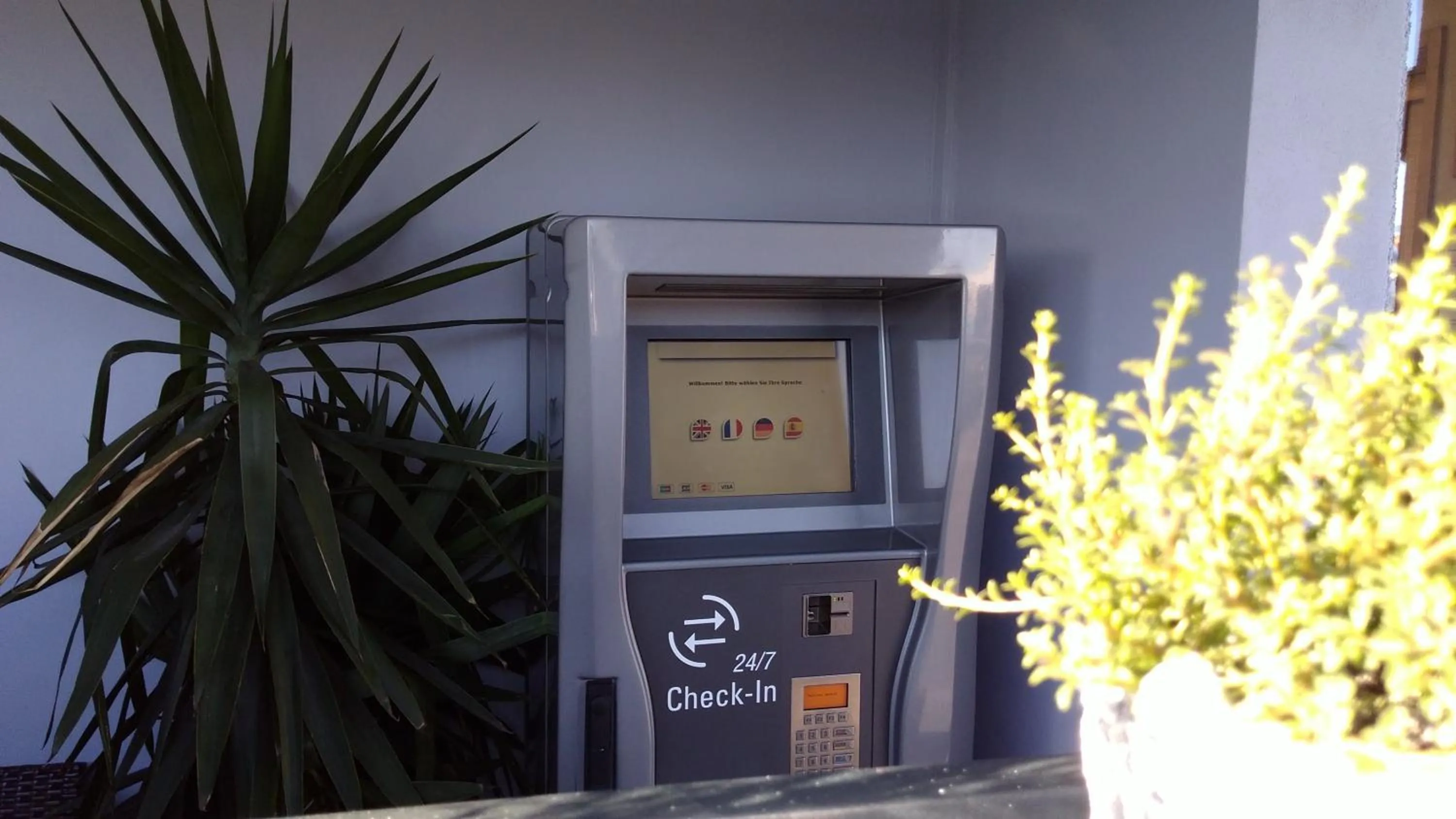 On site in Rheinauer Hof - bed & breakfast