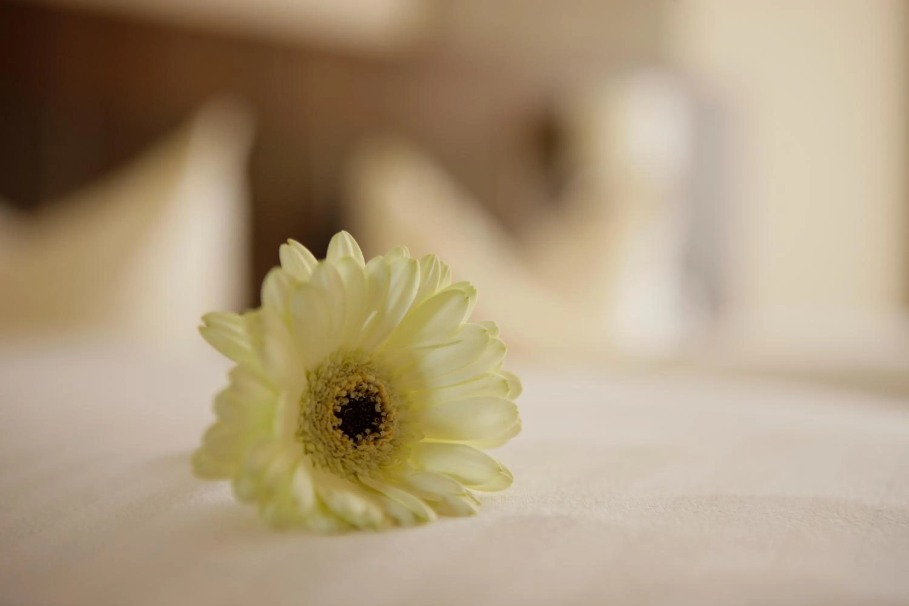 Decorative detail in allgäu resort