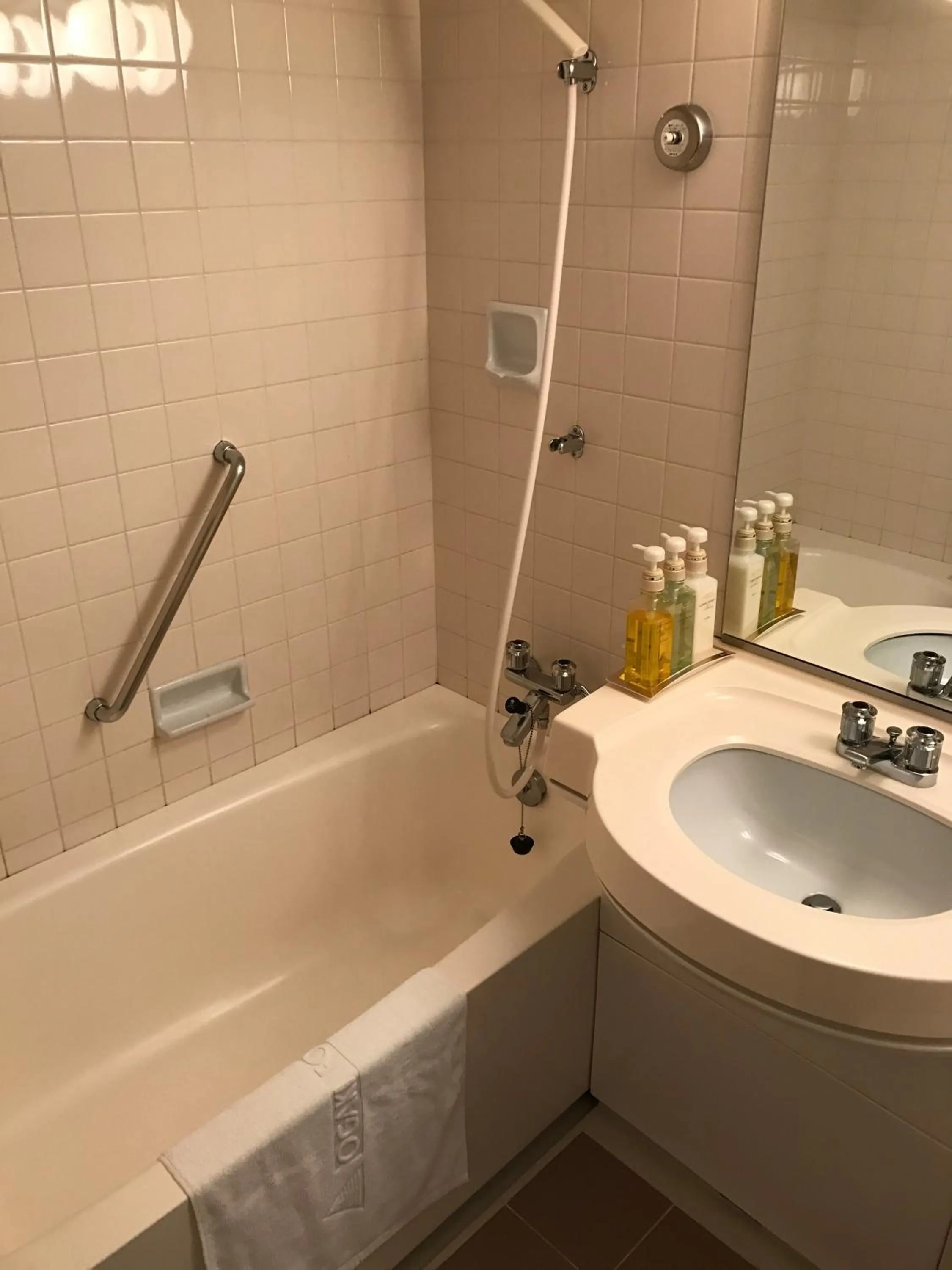 Bathroom in Ogaki Forum Hotel