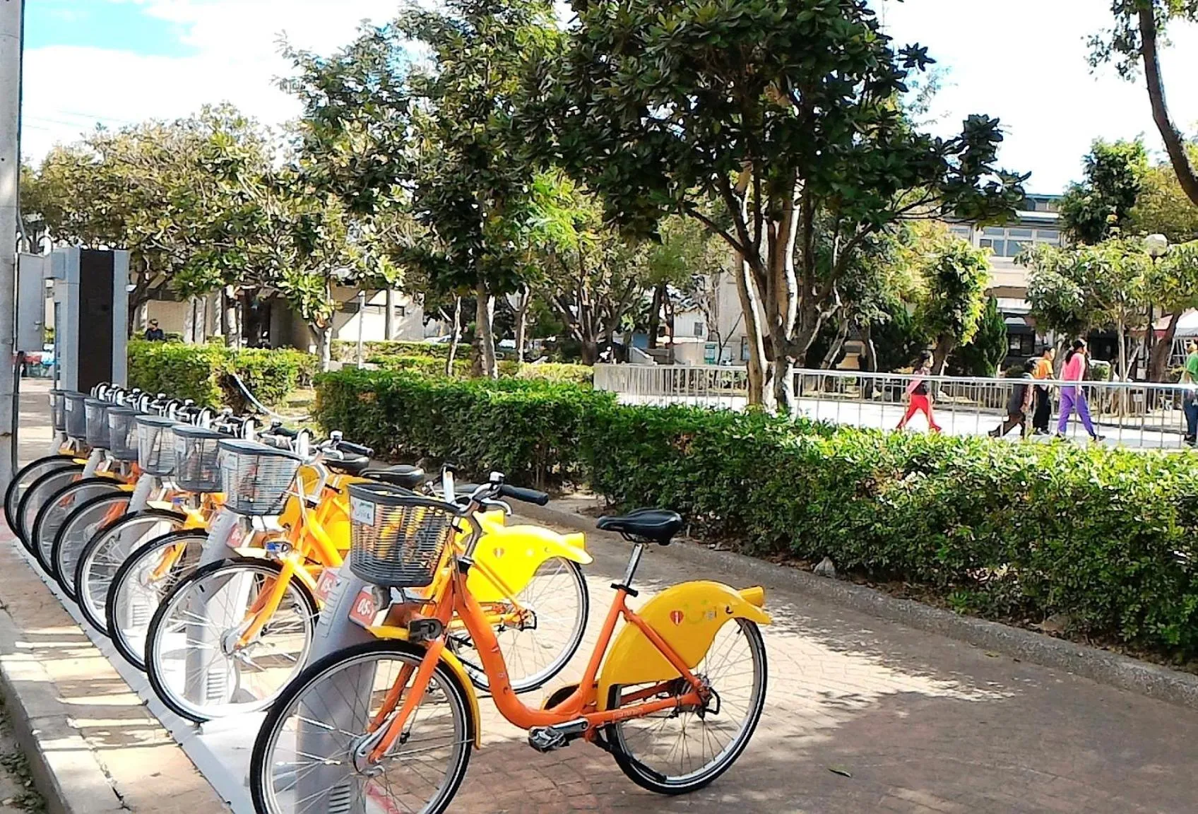 Activities in 楓采行館