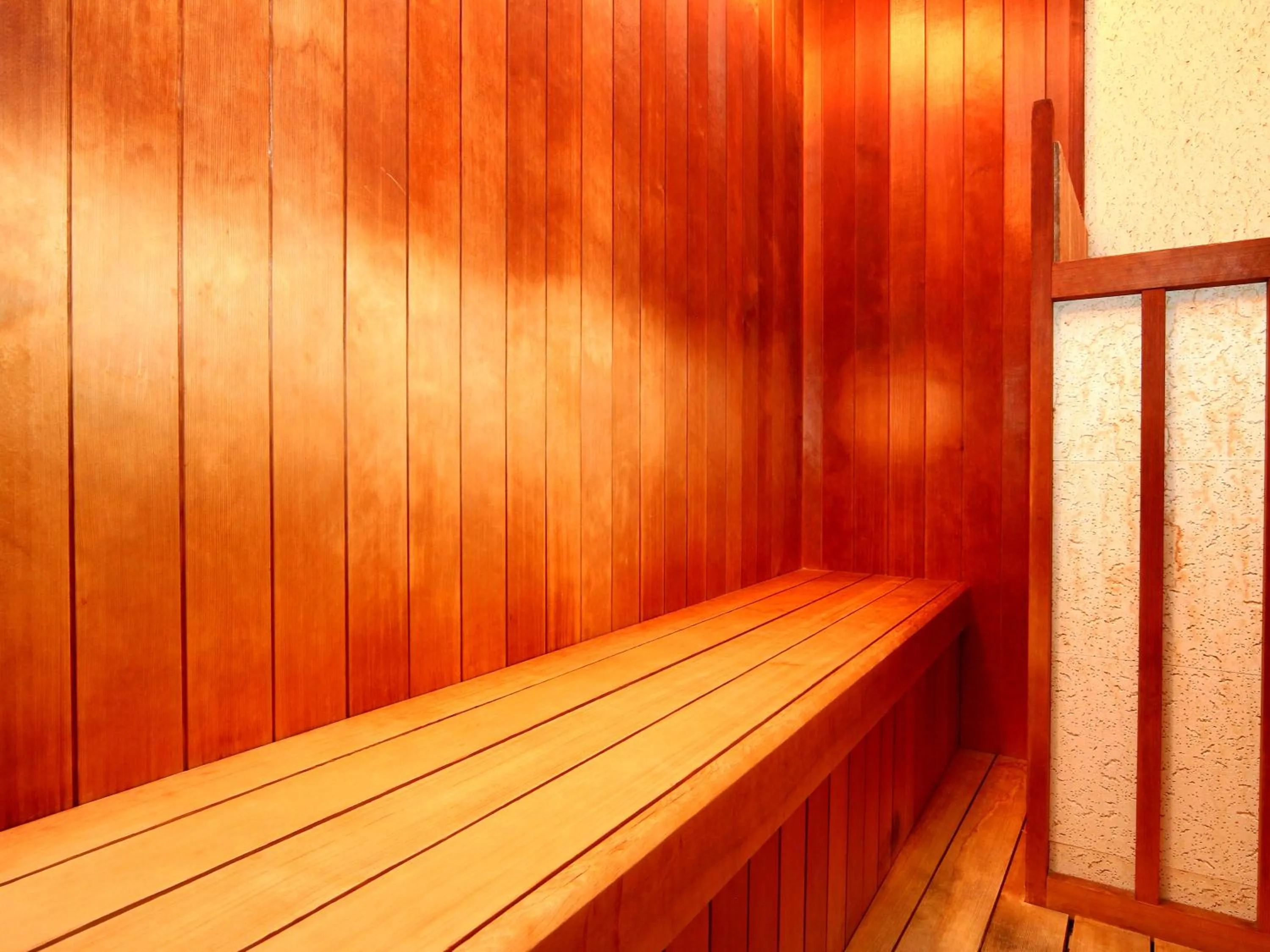 Sauna in Hotel Omodaka