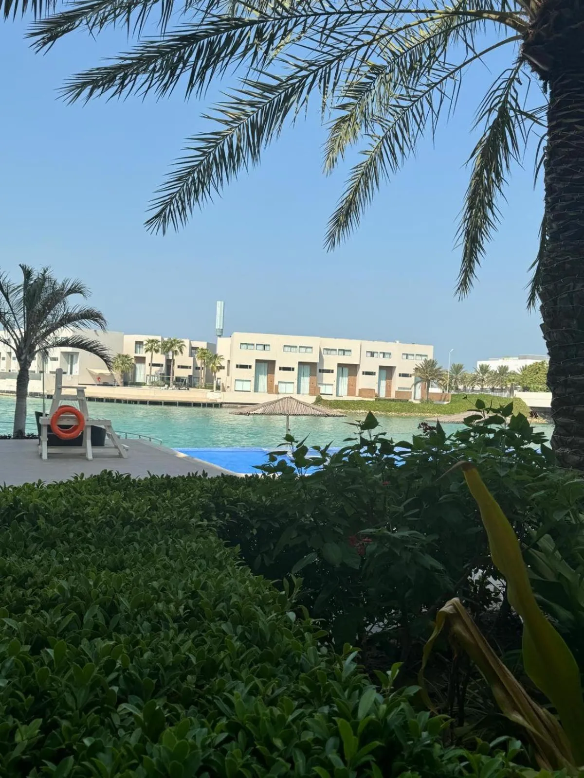 Garden in Dragon Beach Hotel