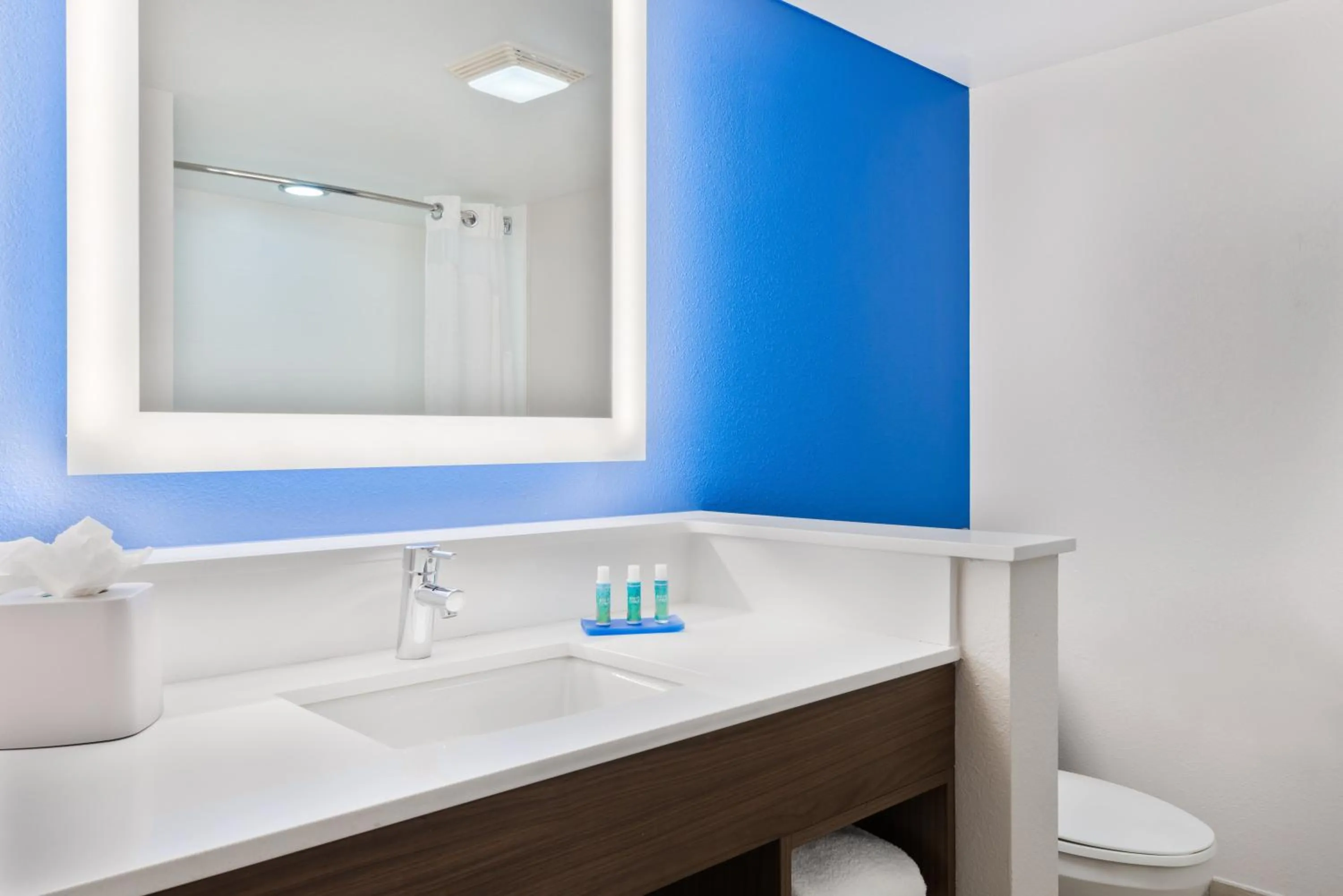 Bathroom in Holiday Inn Express & Suites - Nearest Universal Orlando by IHG