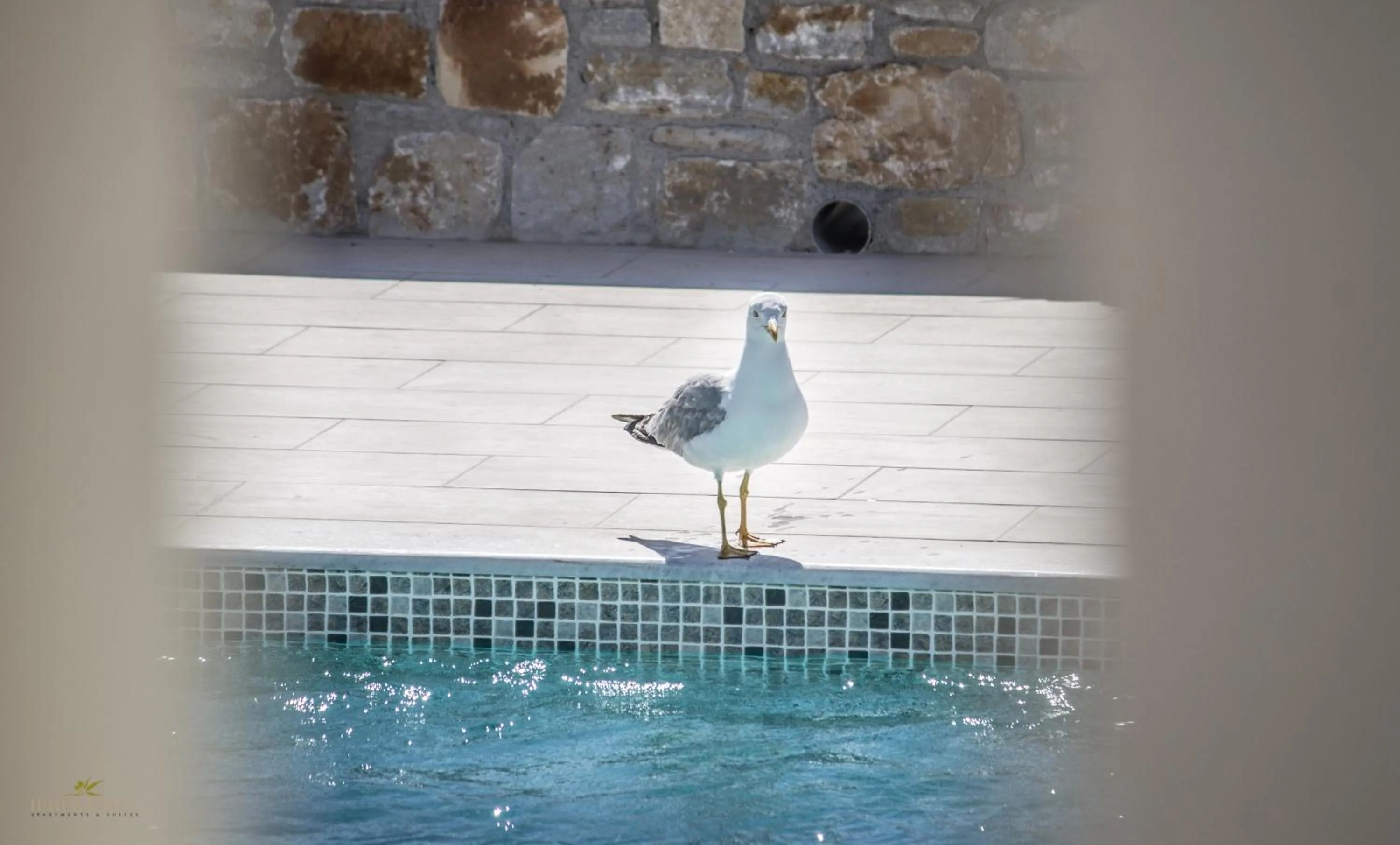 Swimming pool in Iphimedeia Luxury Hotel & Suites