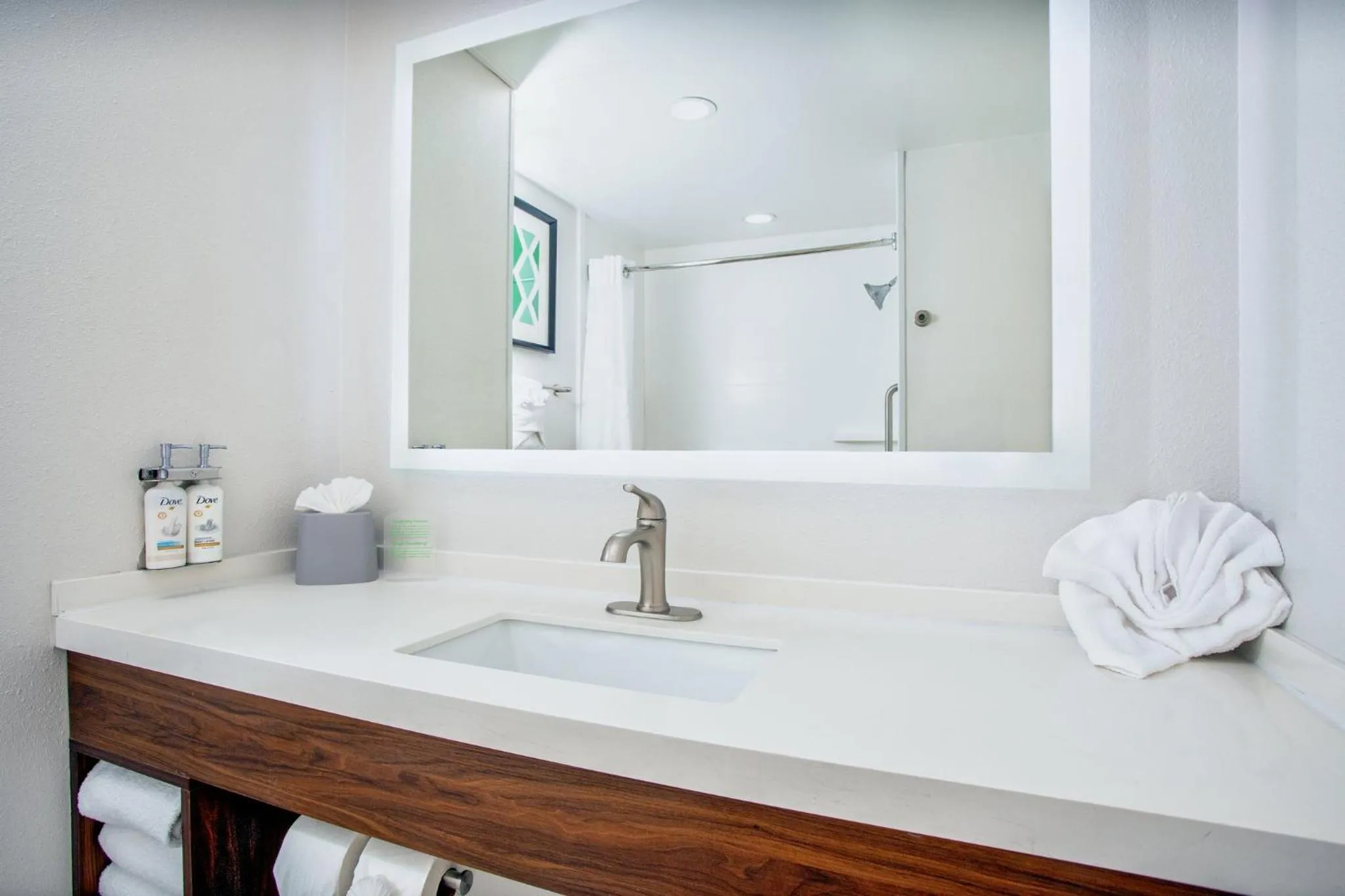 Bathroom in Holiday Inn Express-International Drive by IHG