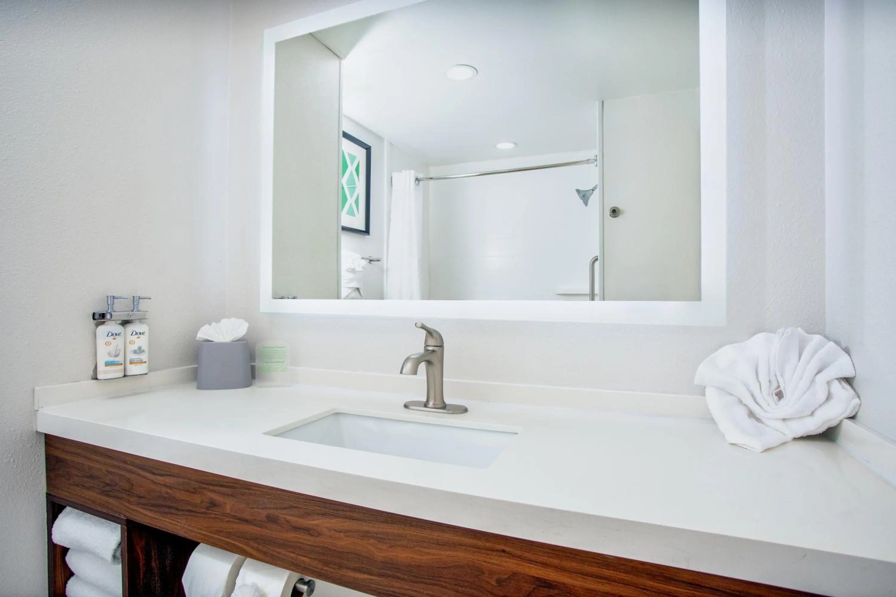 Bathroom in Holiday Inn Express-International Drive by IHG