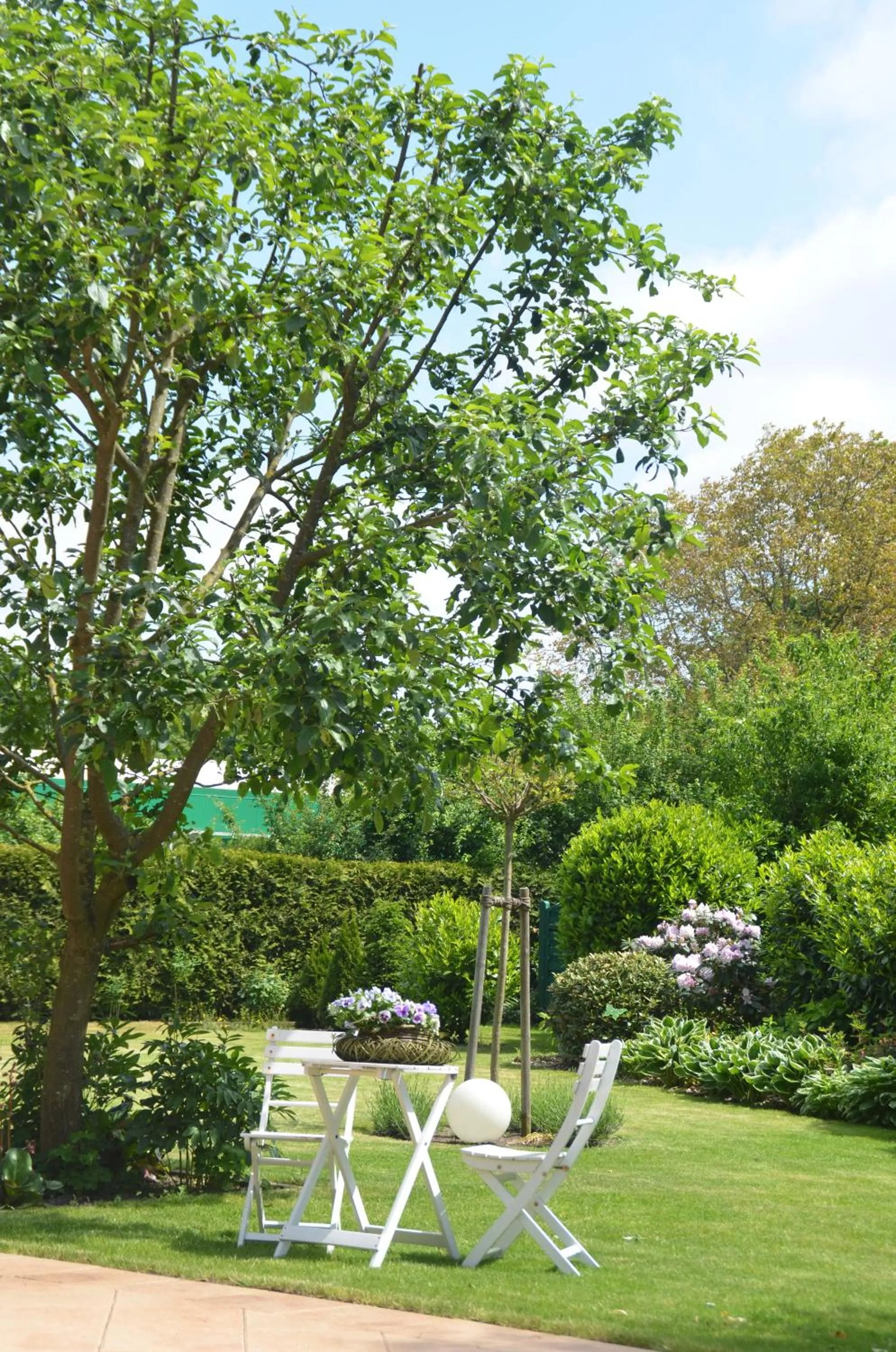 Garden in Hotel Flora