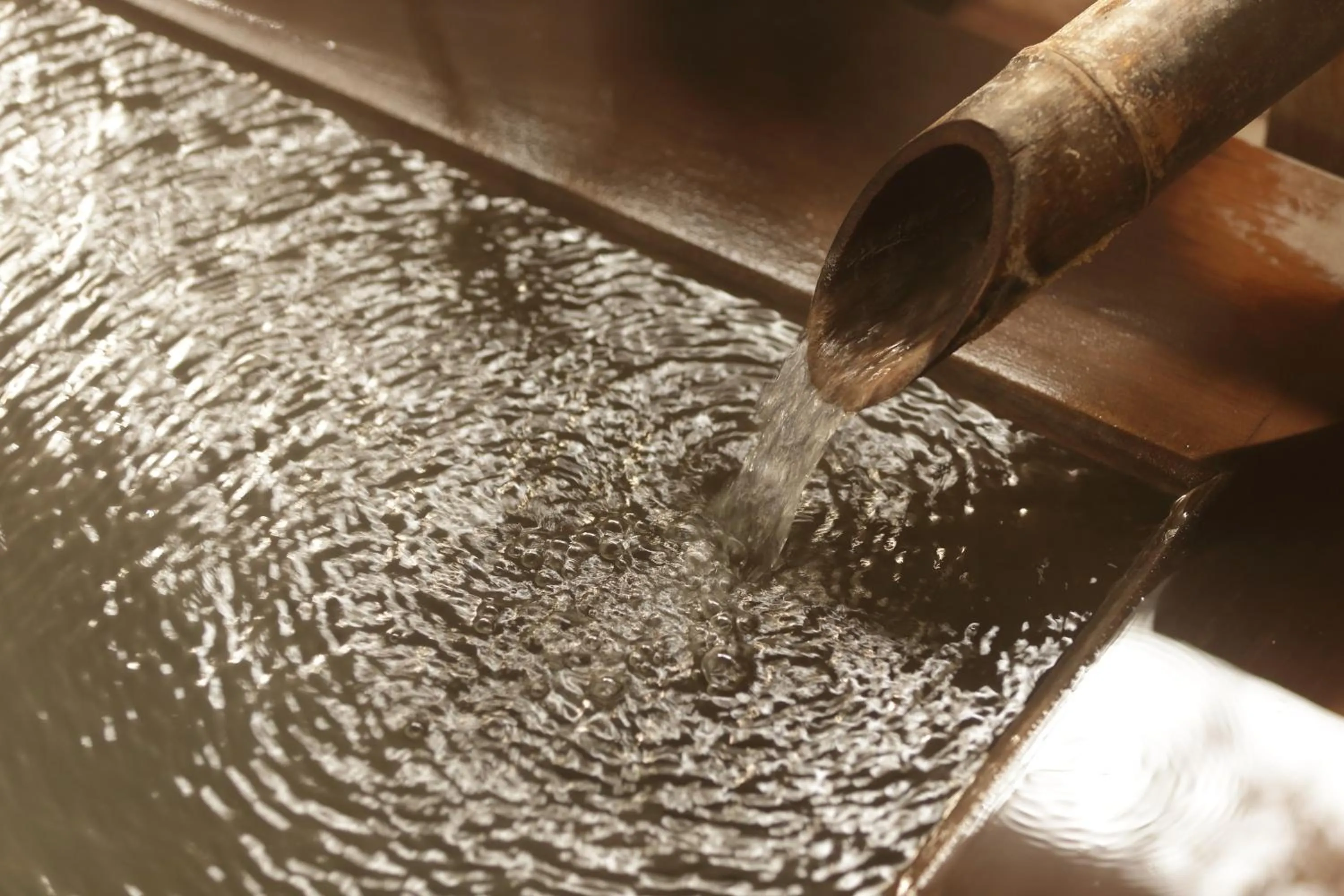 Hot Spring Bath in Hanakanzashi