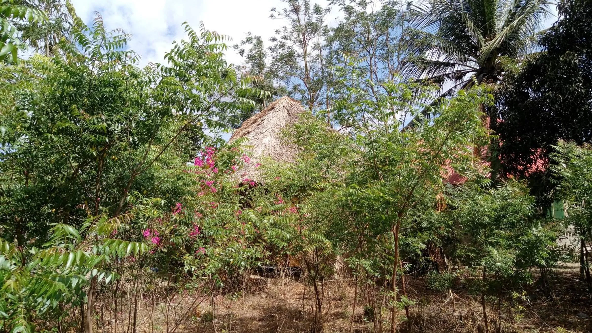 Property building in Eazy's Place