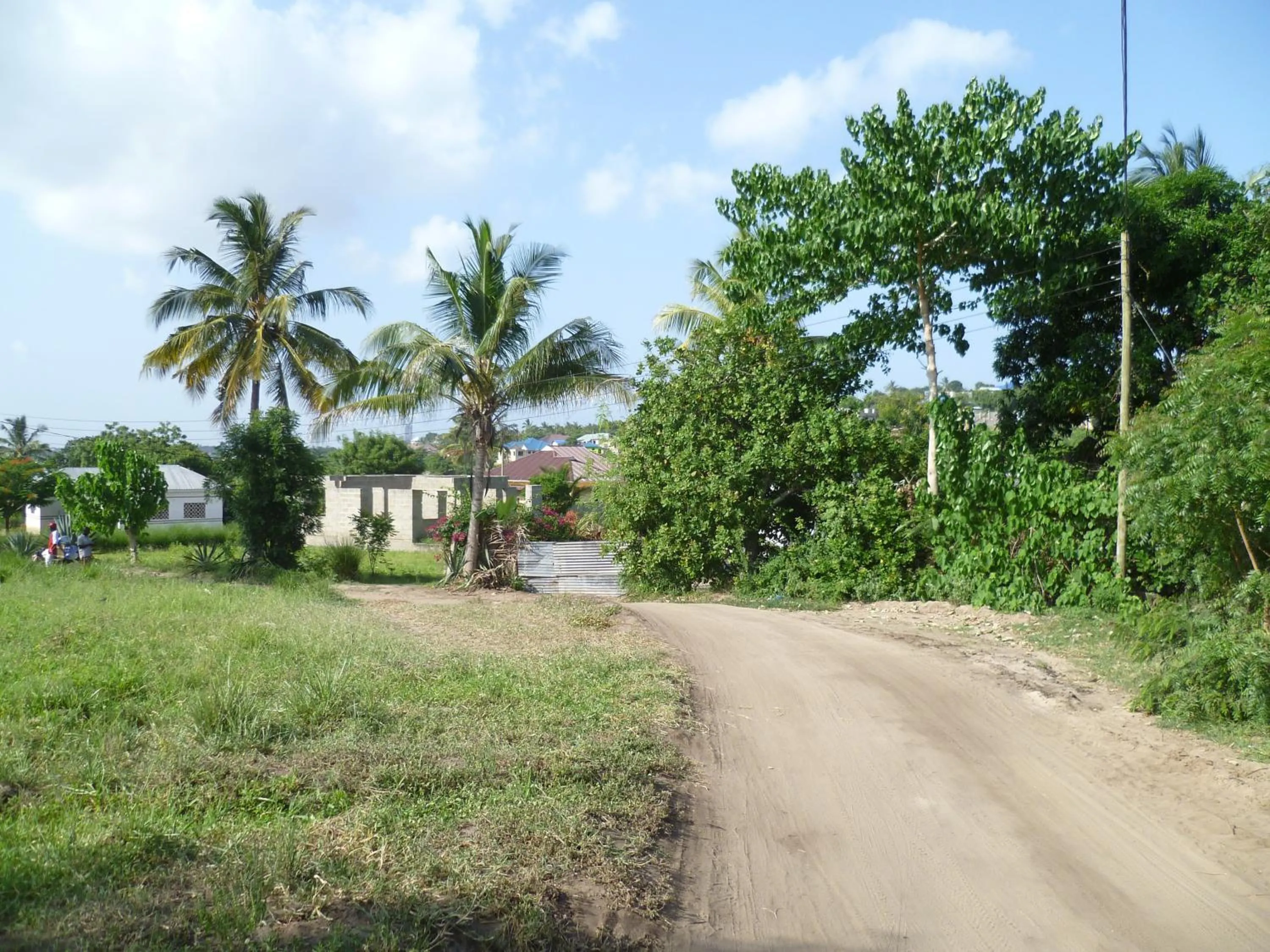 Natural landscape in Eazy's Place