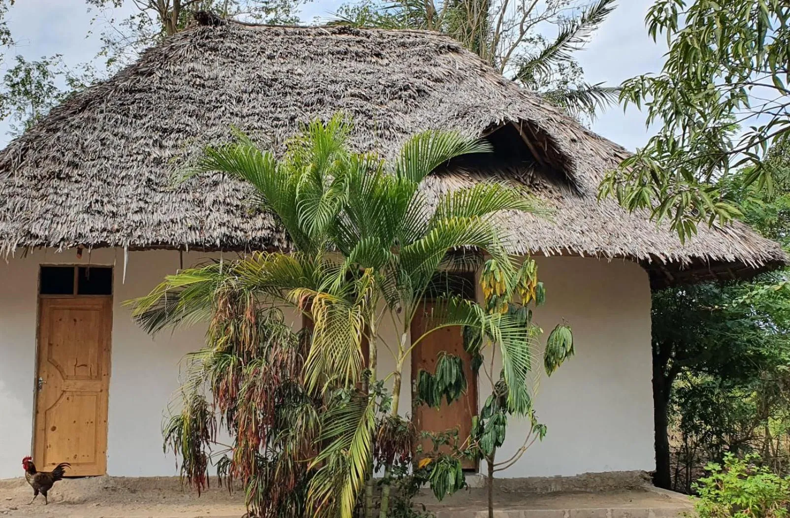 Property building in Eazy's Place