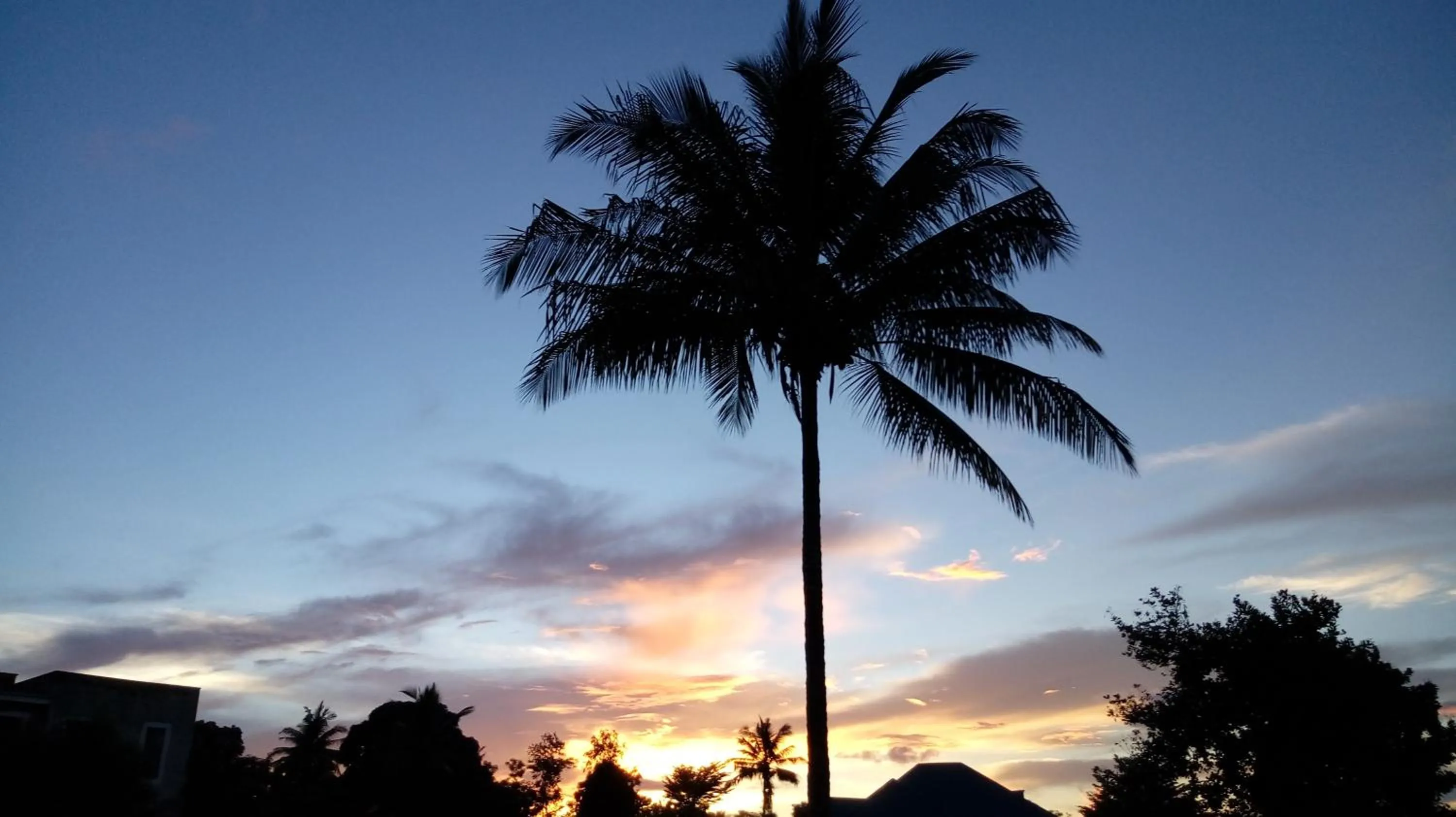 Natural landscape in Eazy's Place