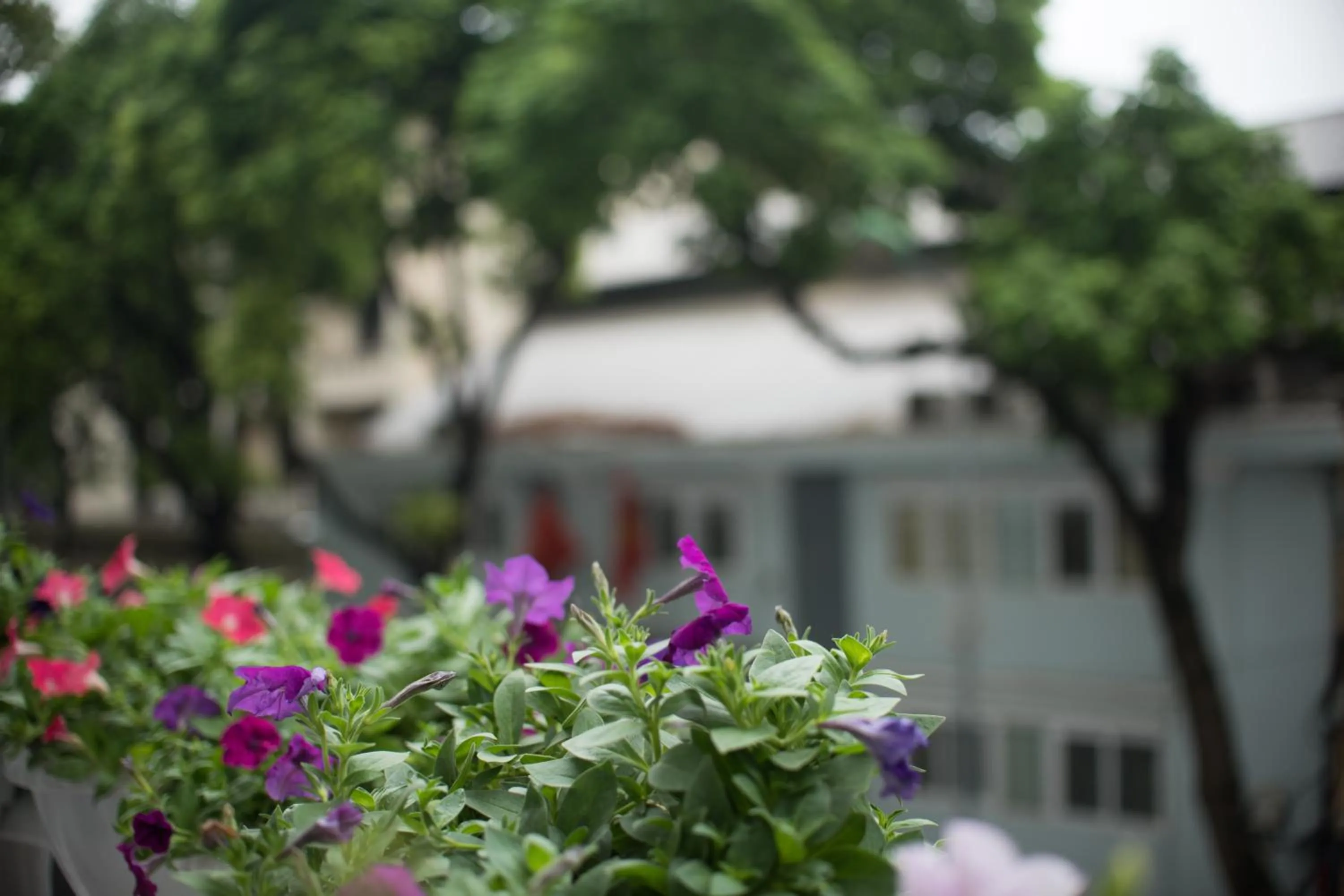 Balcony/Terrace in Thang Long Opera Hotel