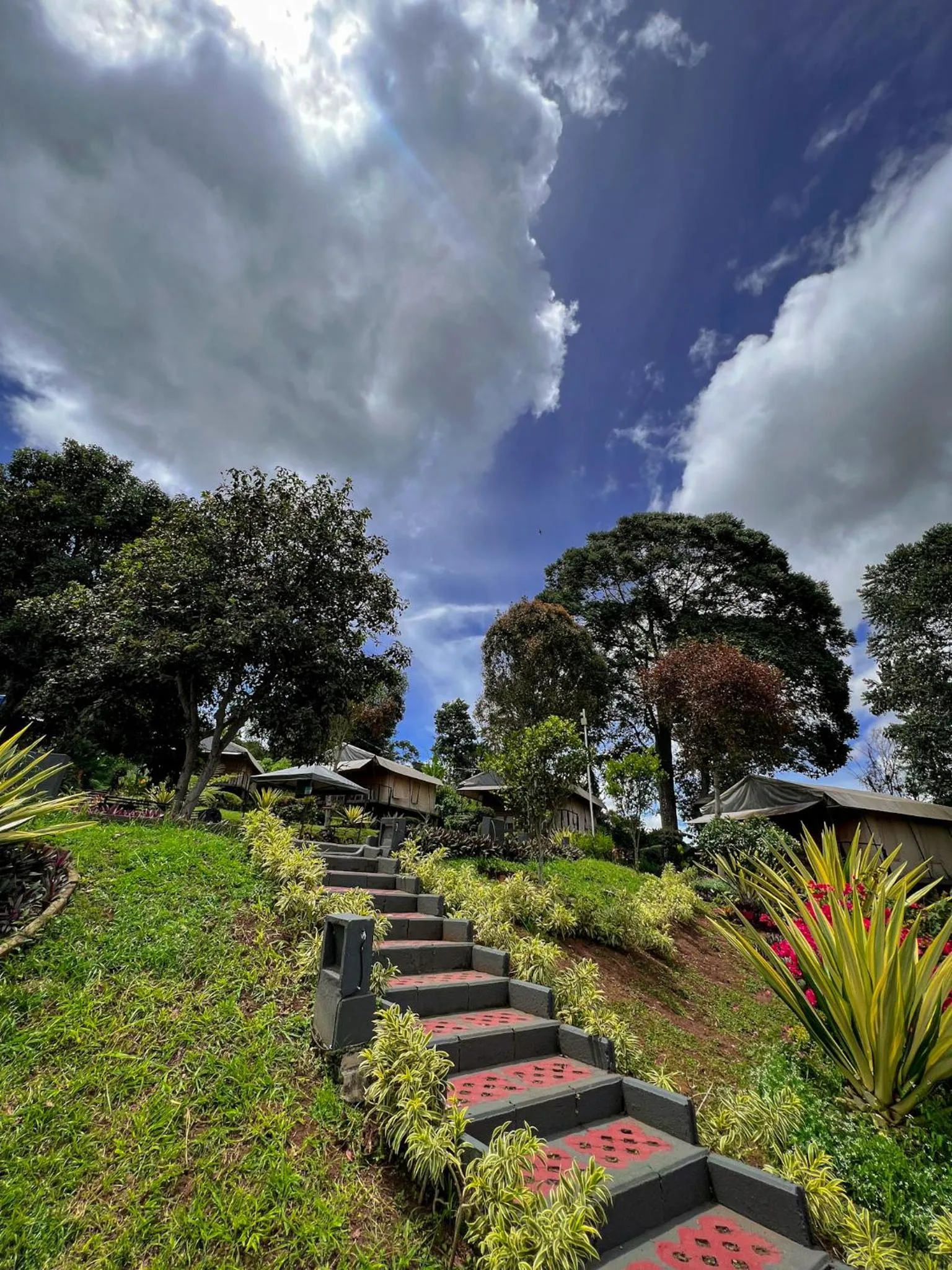 Trizara Resorts - Glam Camping