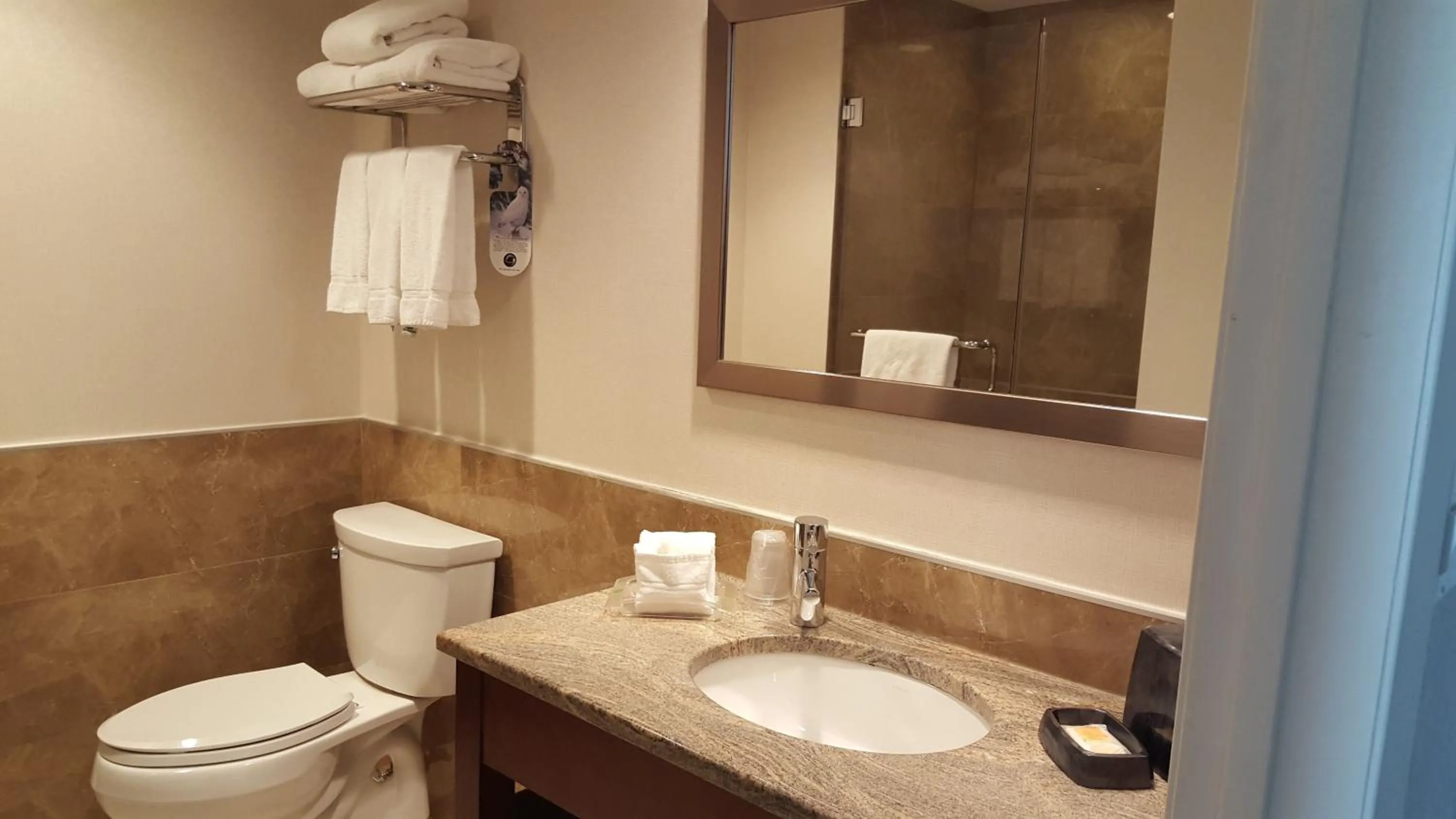 Bathroom in LIC Manhattan View Hotel