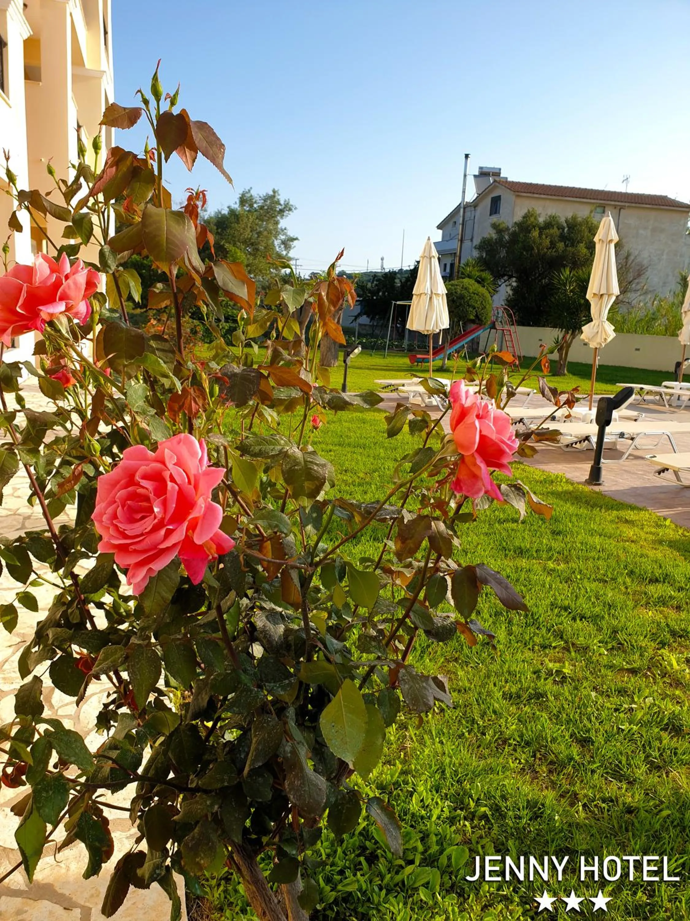 Garden in Jenny Hotel